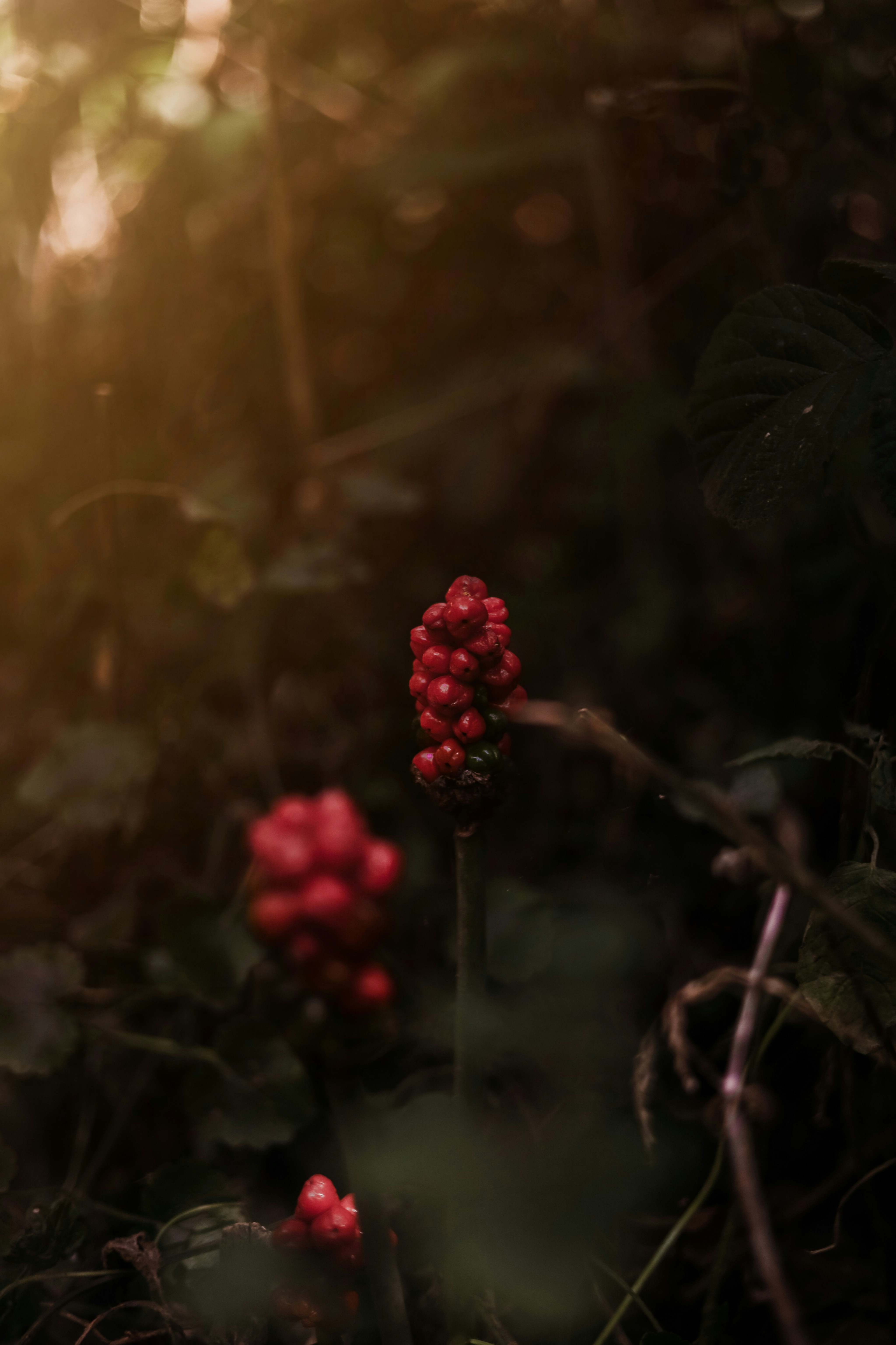 Photo by secondsight