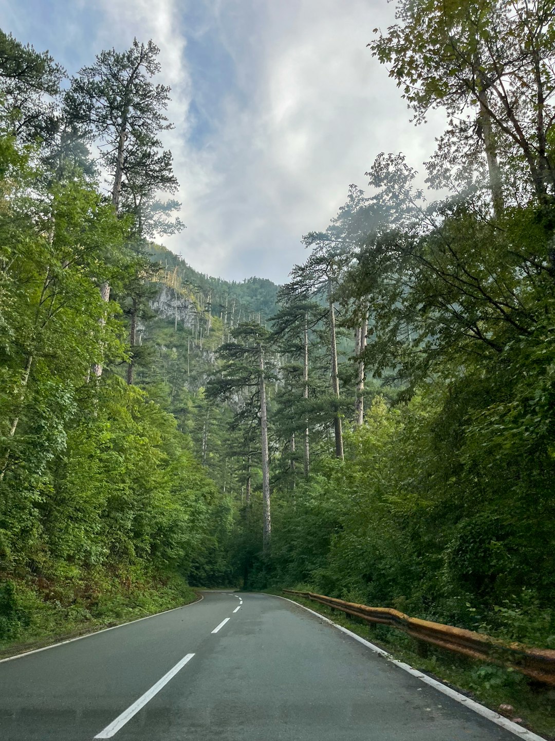 travelers stories about Natural landscape in Tara Canyon, Montenegro