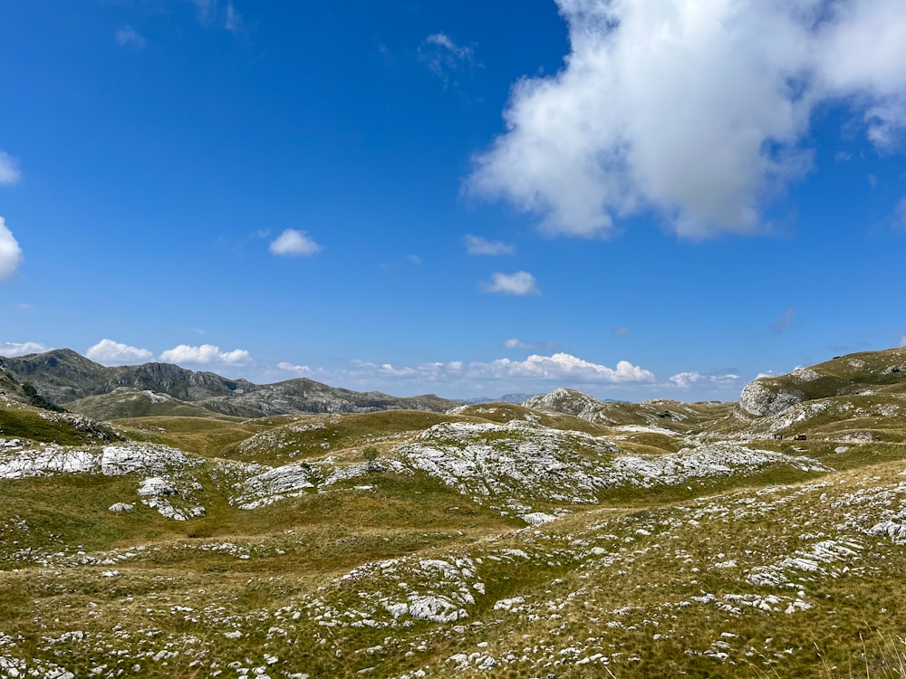 a grassy area with mountains in the background