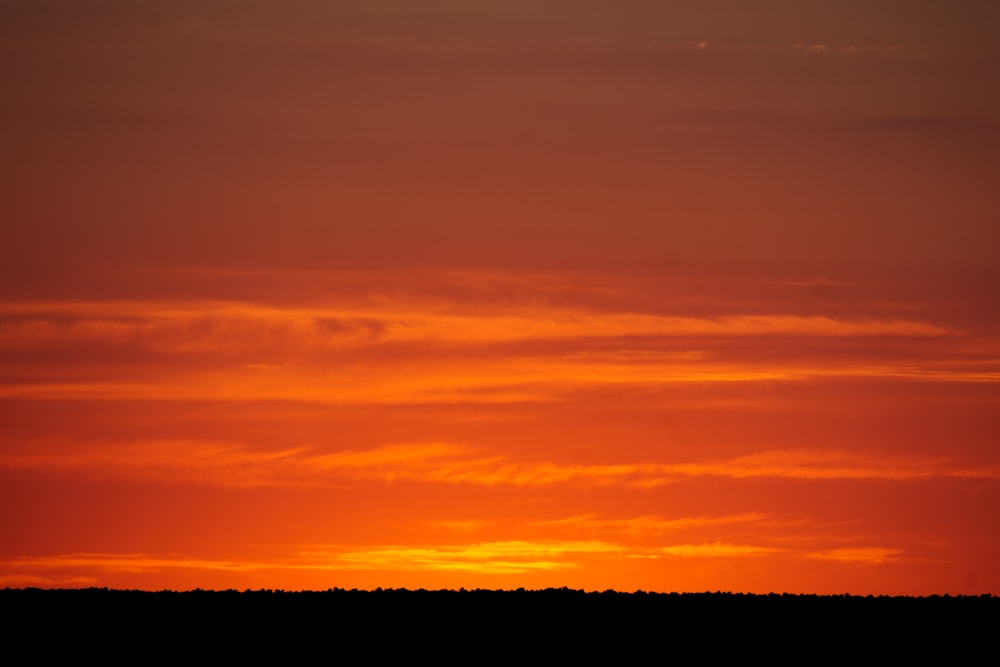 a sunset over a forest