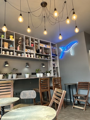 The cozy interior of coral bean cafe with aquariums integrated into the seating area.