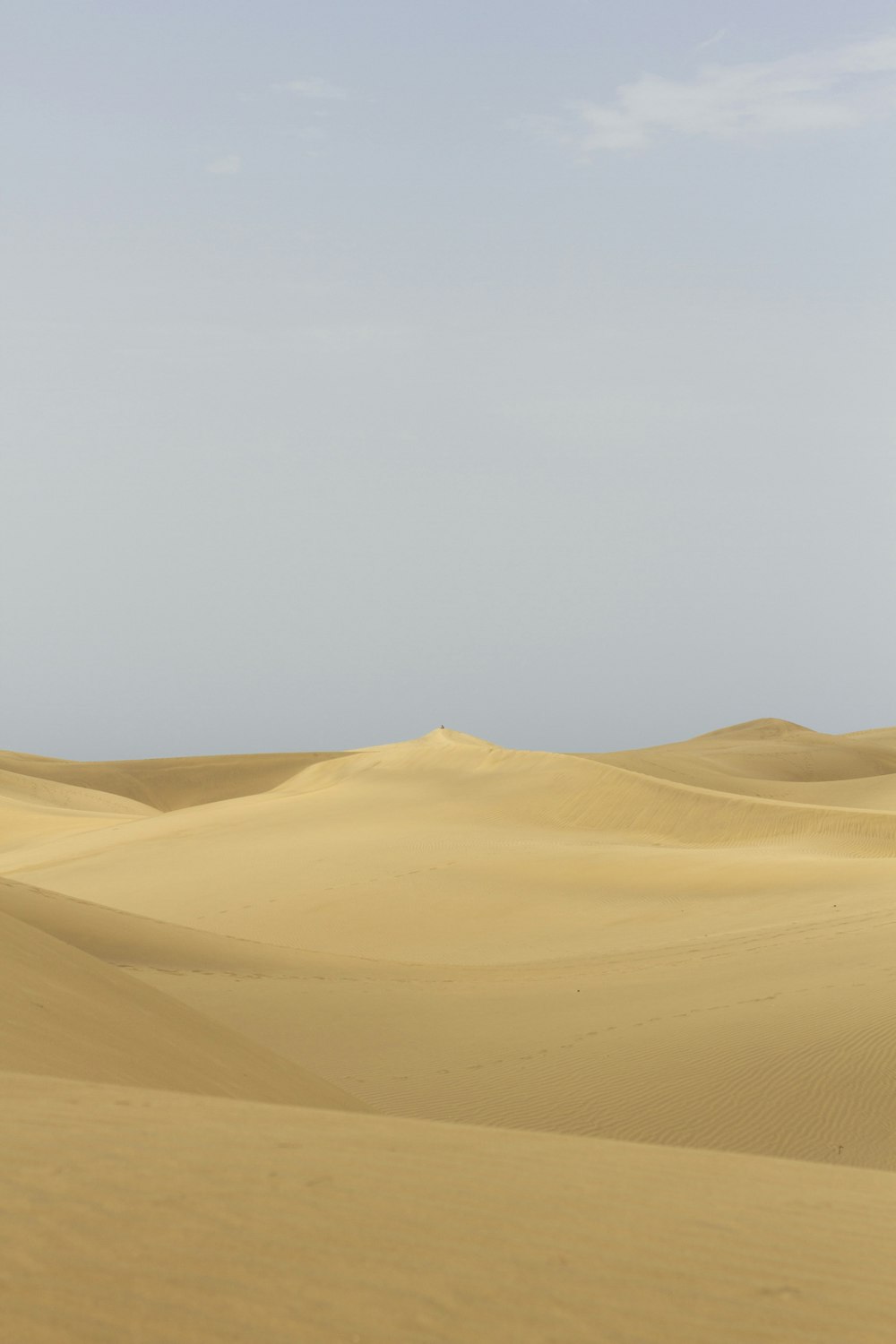 a desert landscape with sand dunes