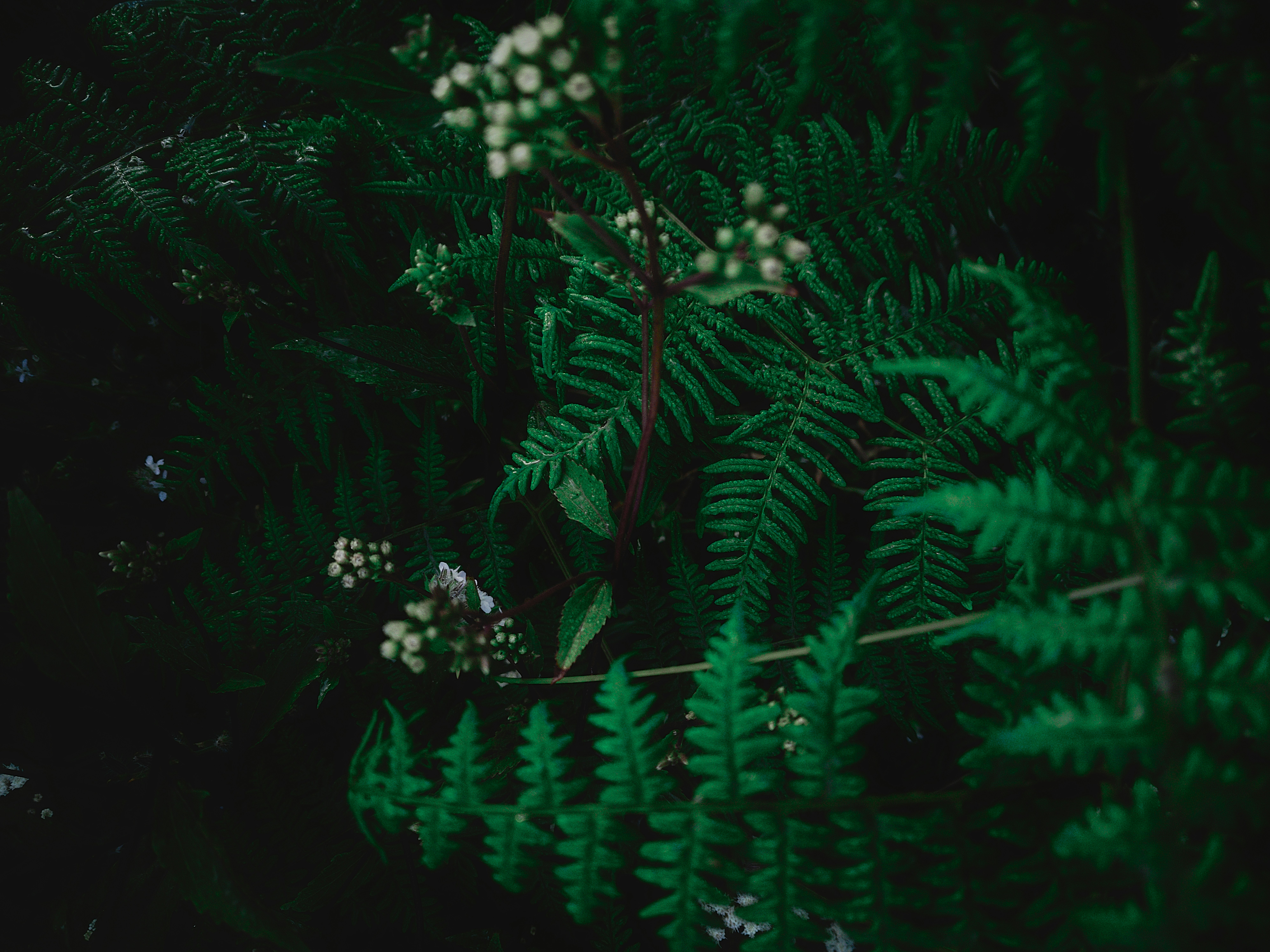 Photo by auinirosenfeld