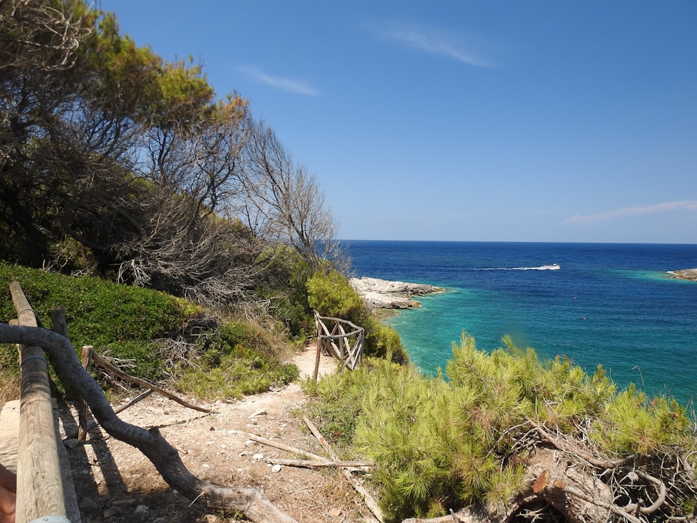 a path leading to a beach