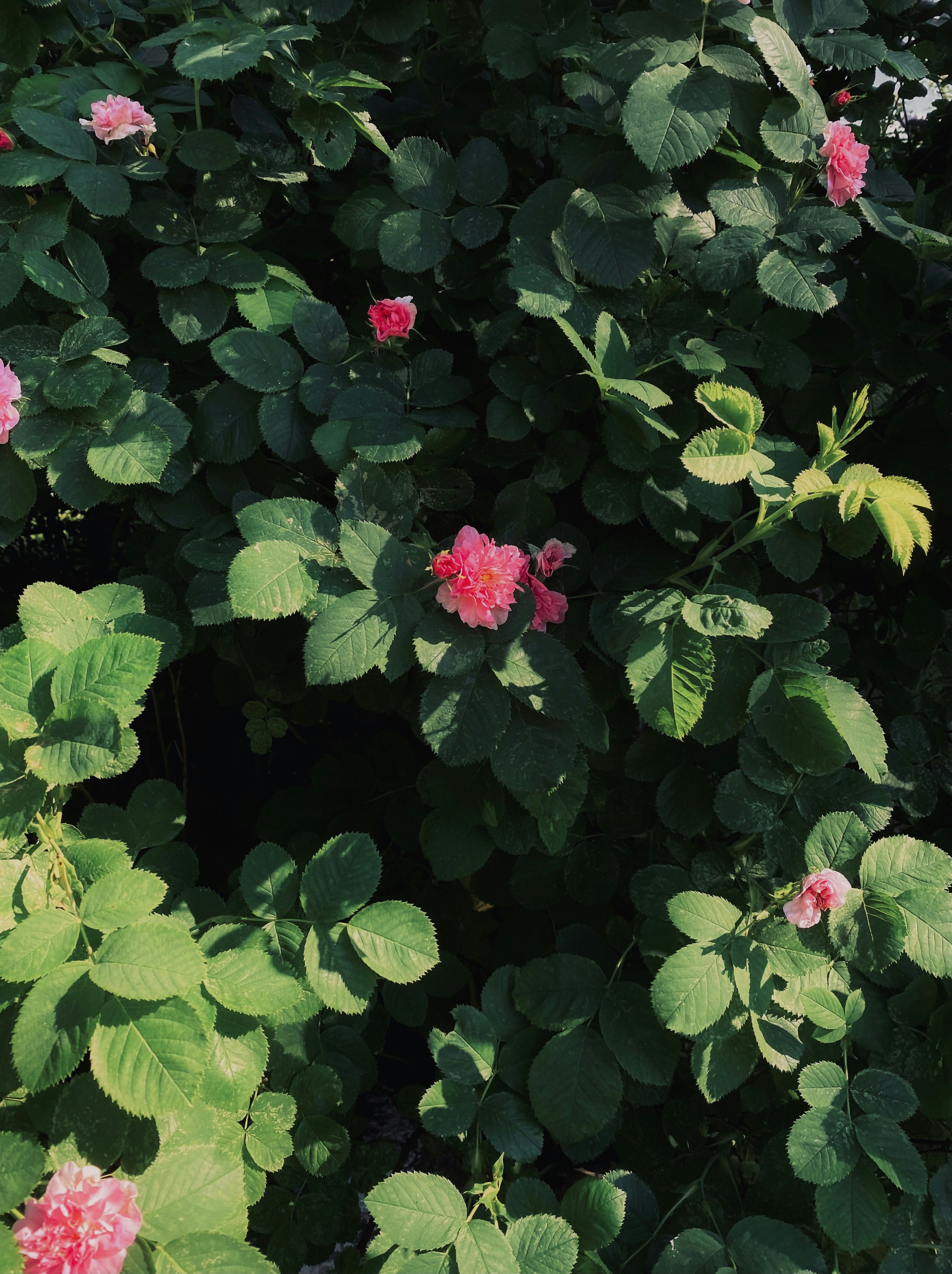 Photo by eugene_golovesov