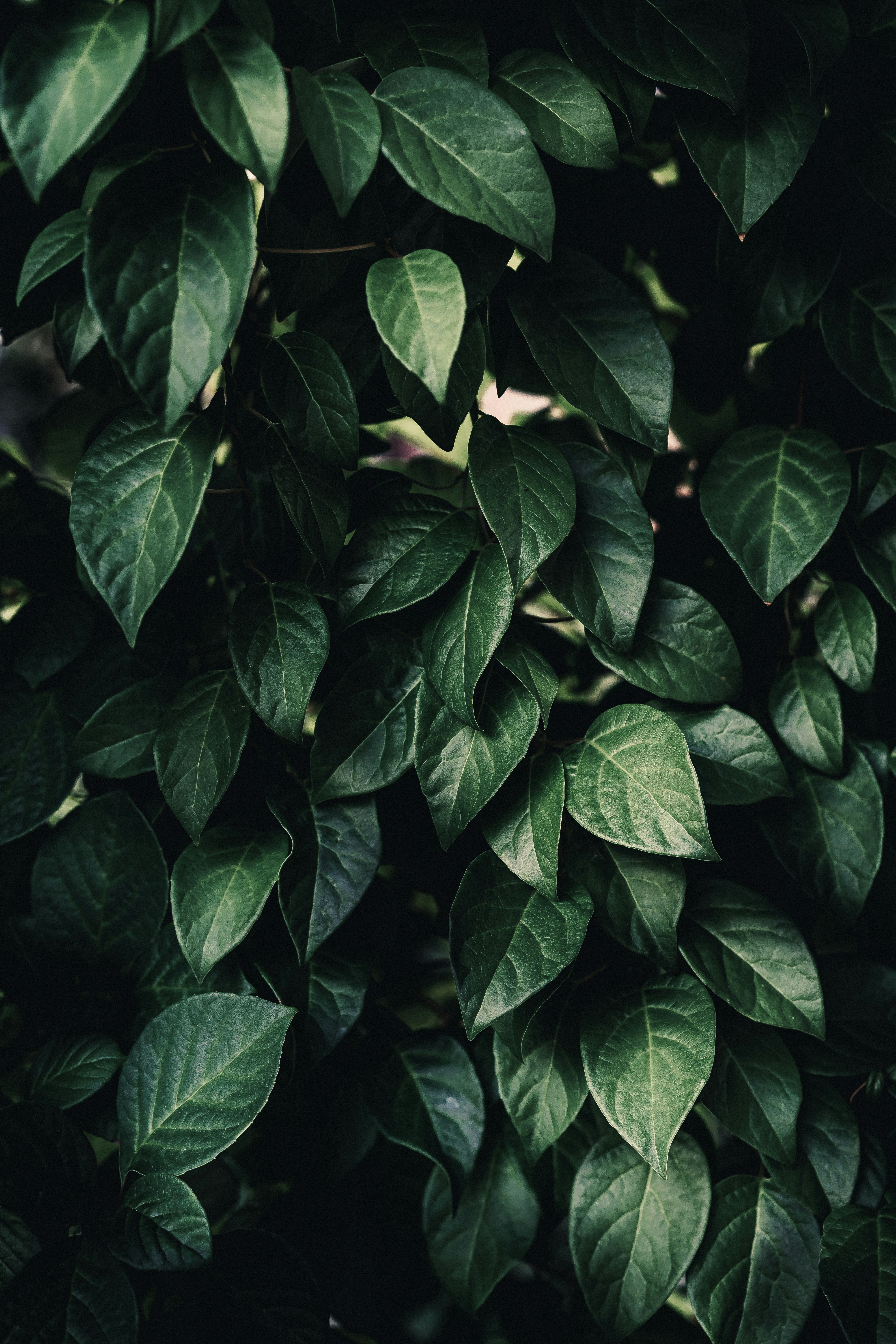 Photo by maksym_tymchyk