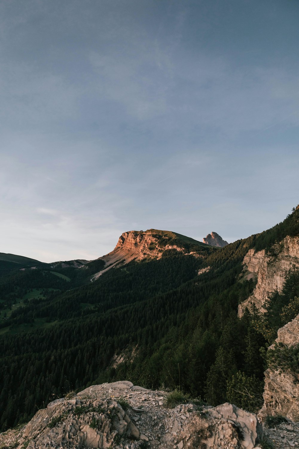 a rocky mountain with trees