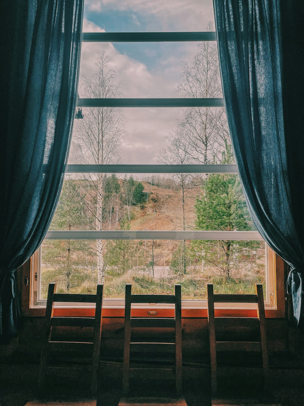 a window with a view of trees and a mountain