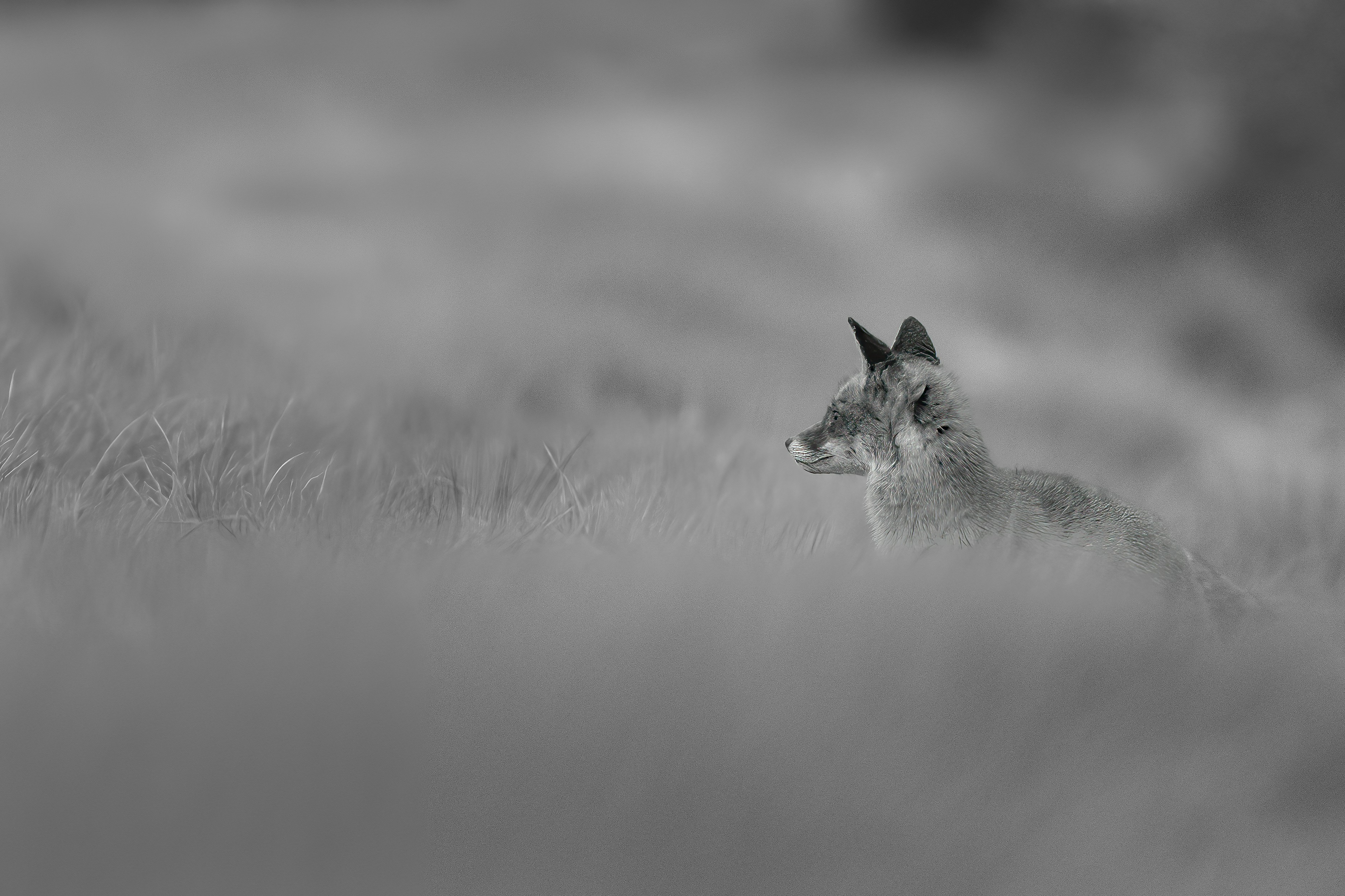 Photo by vincentvanzalinge