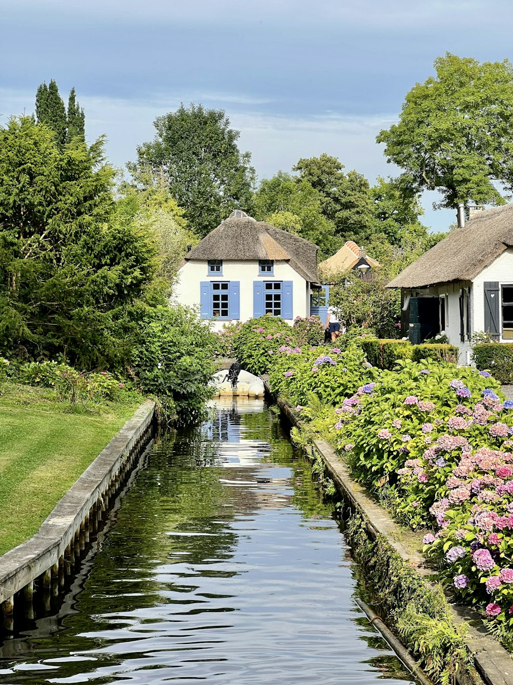 a small pond with a house in the background