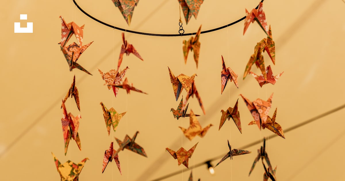 A group of insects on a string photo – Free Decoration Image on Unsplash