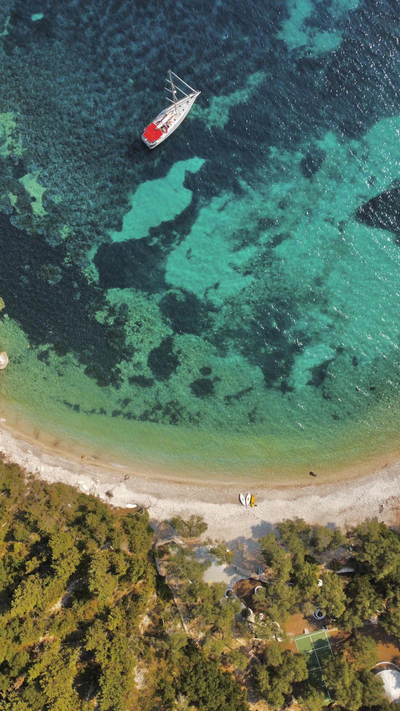 Aerial view of a boat over green-blue shallows by a pine-backed beach