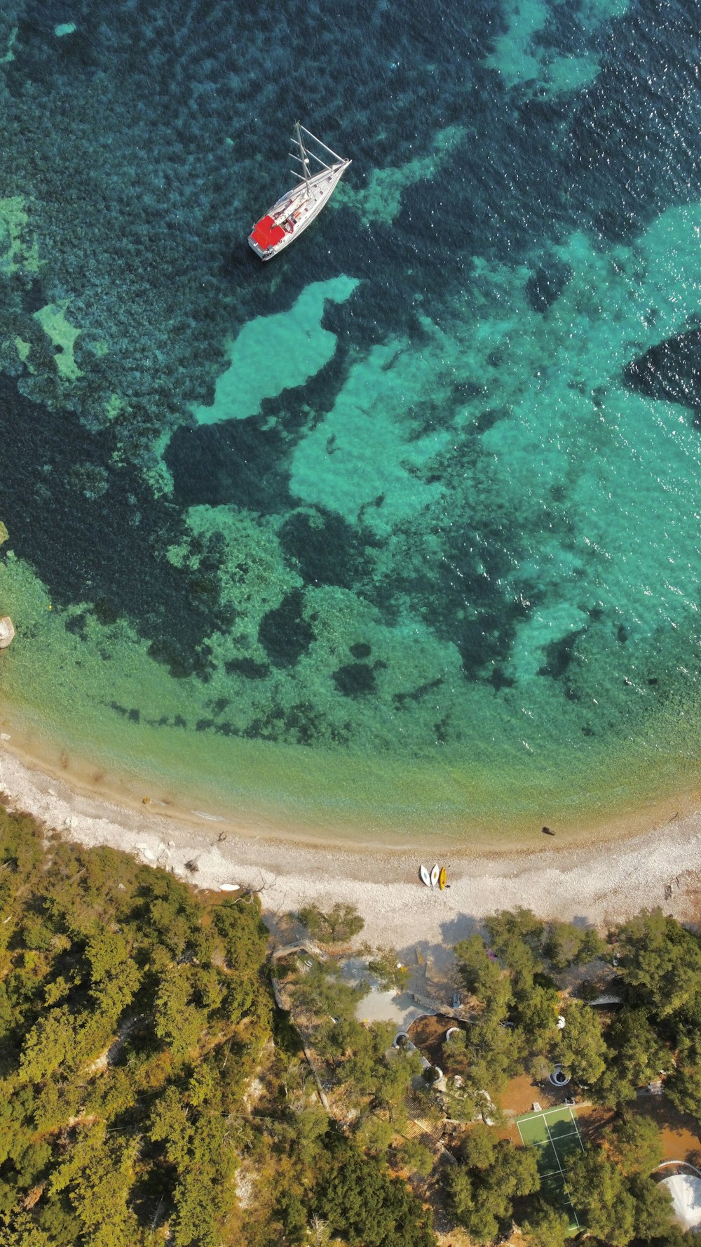 a beach with trees and a body of water