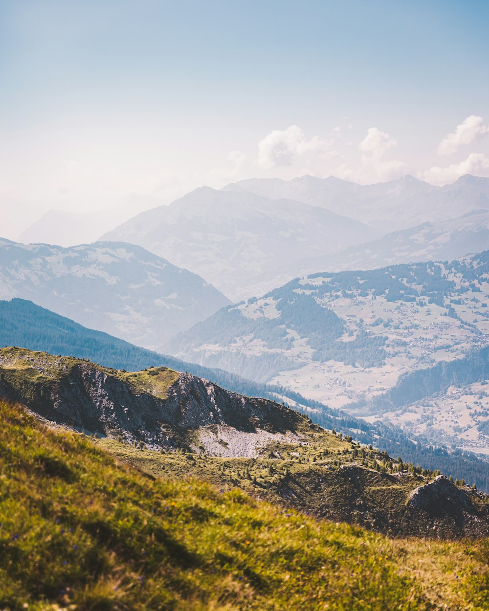 a valley with mountains in the background