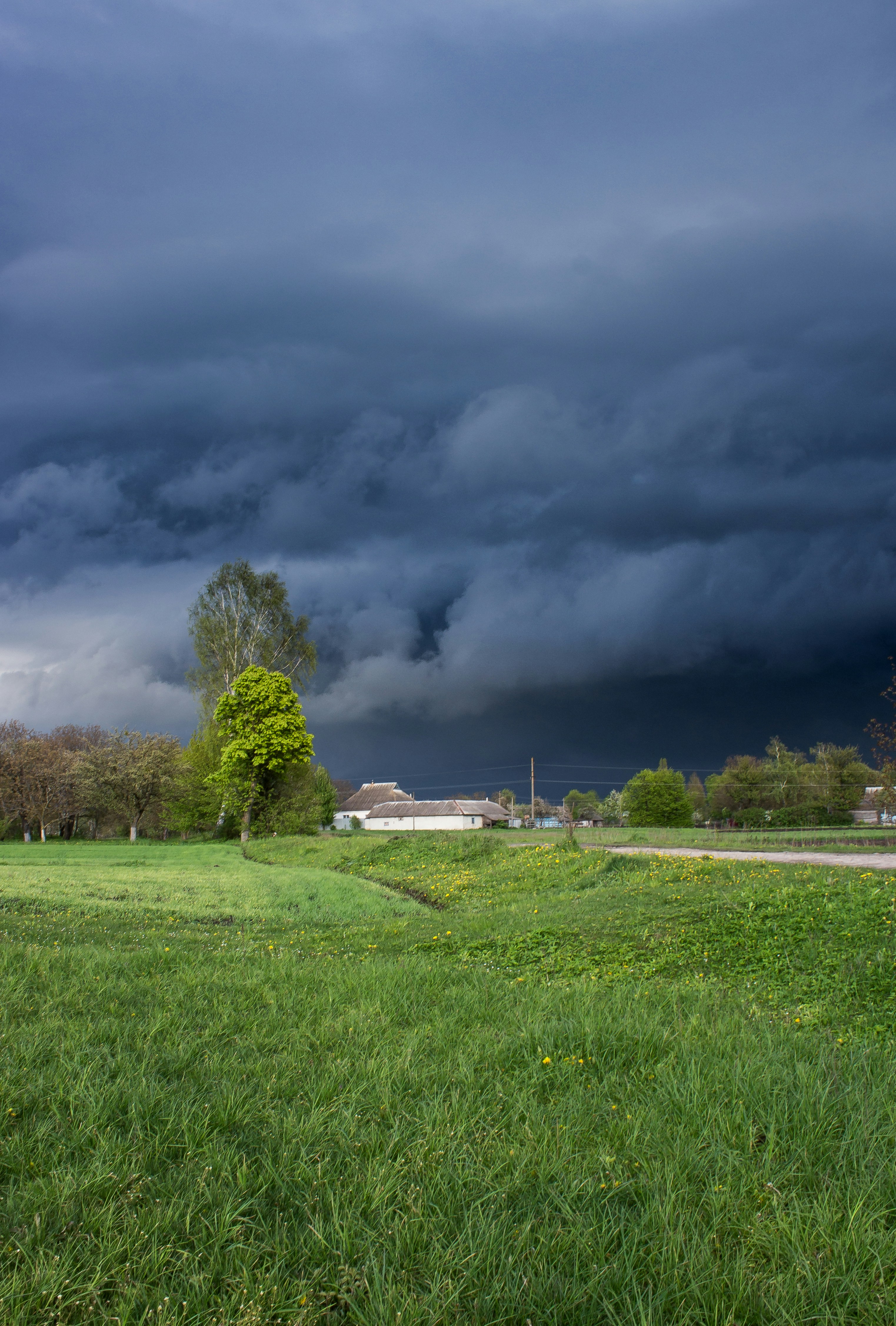 Photo by viktorsmoliak