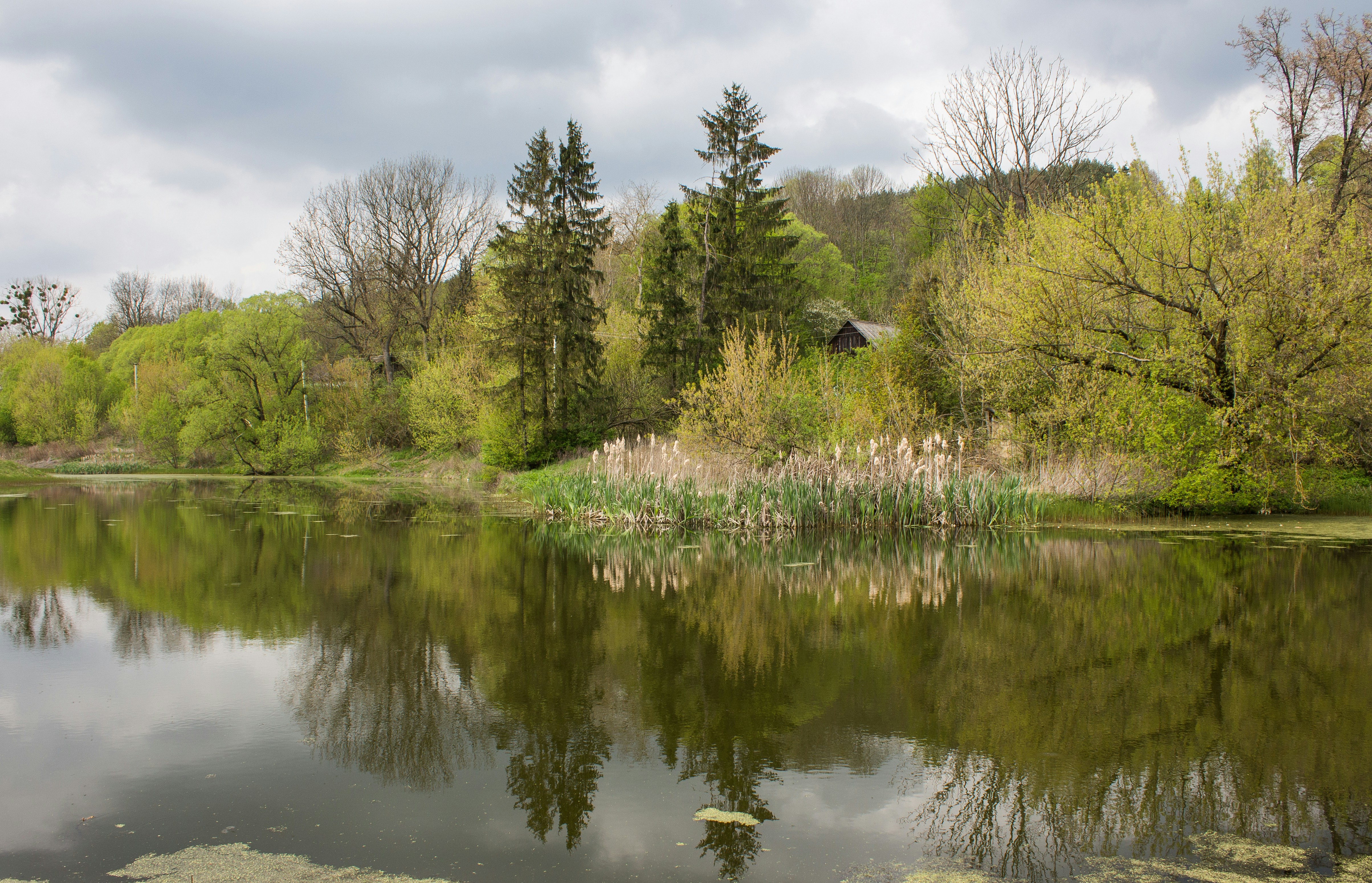 Photo by viktorsmoliak