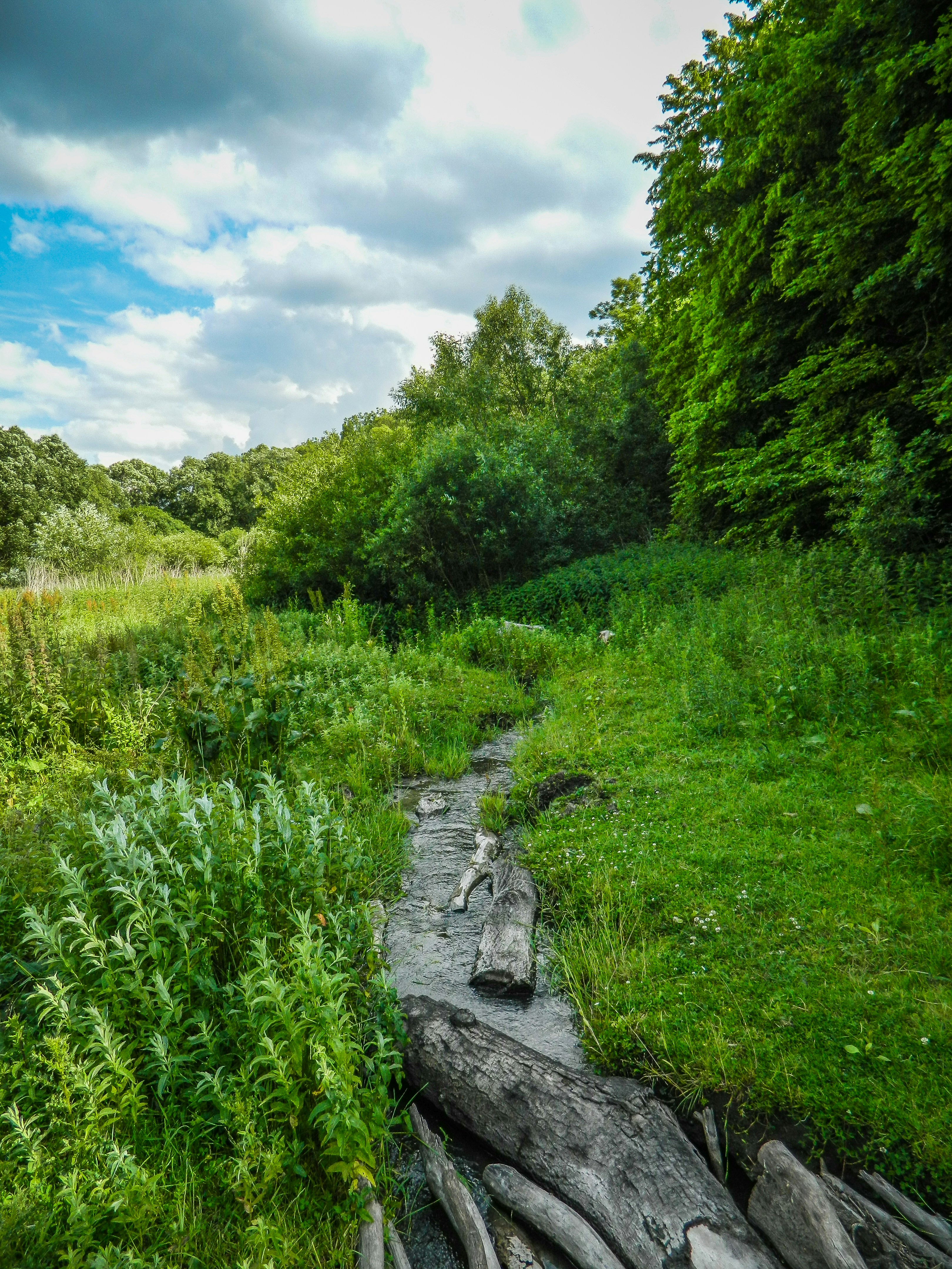 Photo by viktorsmoliak