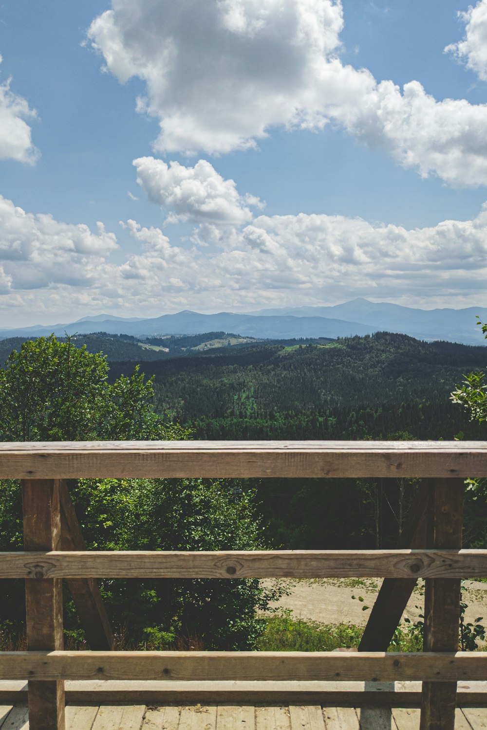 a wooden railing overlooking a forest
