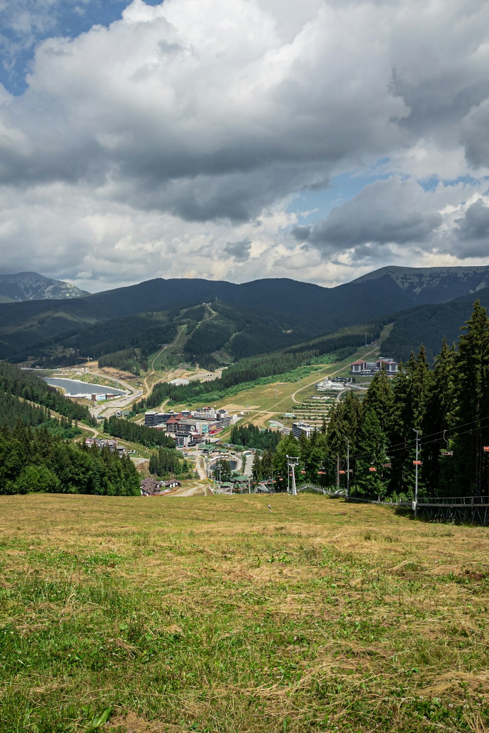 Un paisaje con árboles y edificios