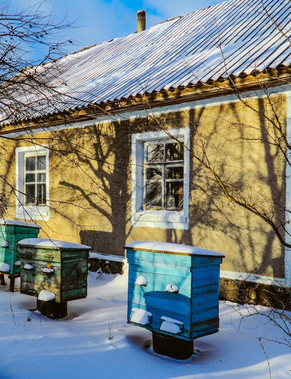 a house with a blue shed and snow on the ground