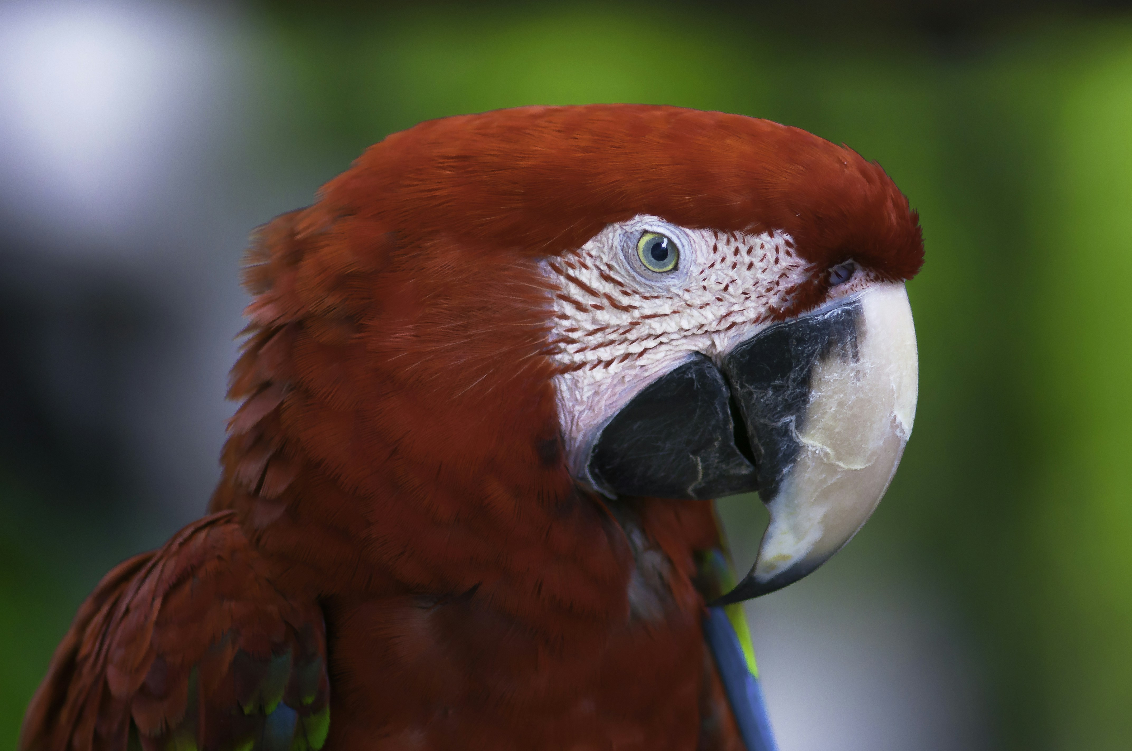 Photo by thom_oxford