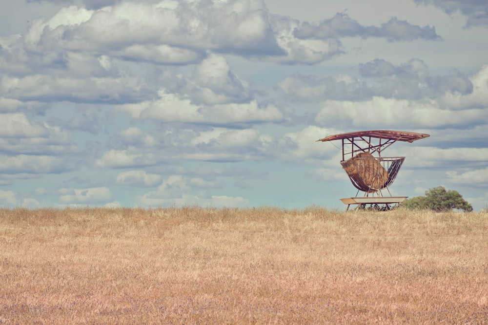 Un cestino in un campo