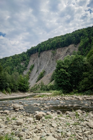 A tranquil landscape featuring a rocky riverbed with flowing water in the foreground. Tall, lush green trees cover the hillside on both sides, and a large cliff with exposed rock layers rises in the background under a partly cloudy sky.