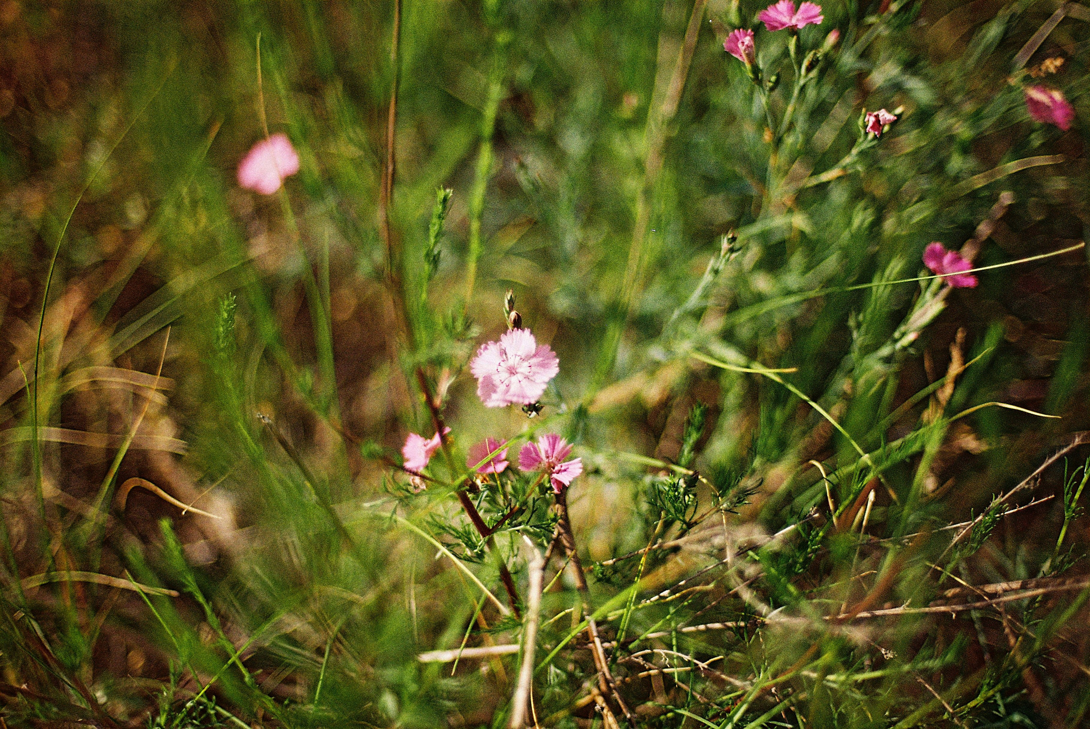 Photo by photofotografie