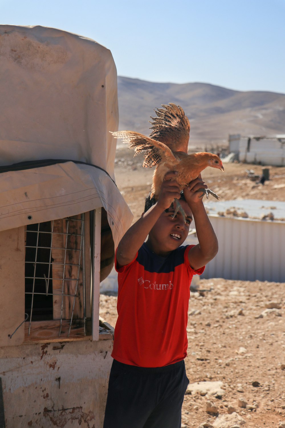 a person holding a bird