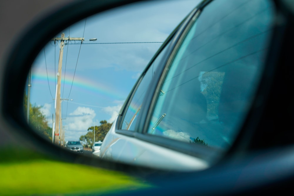 a cat looking out a car window