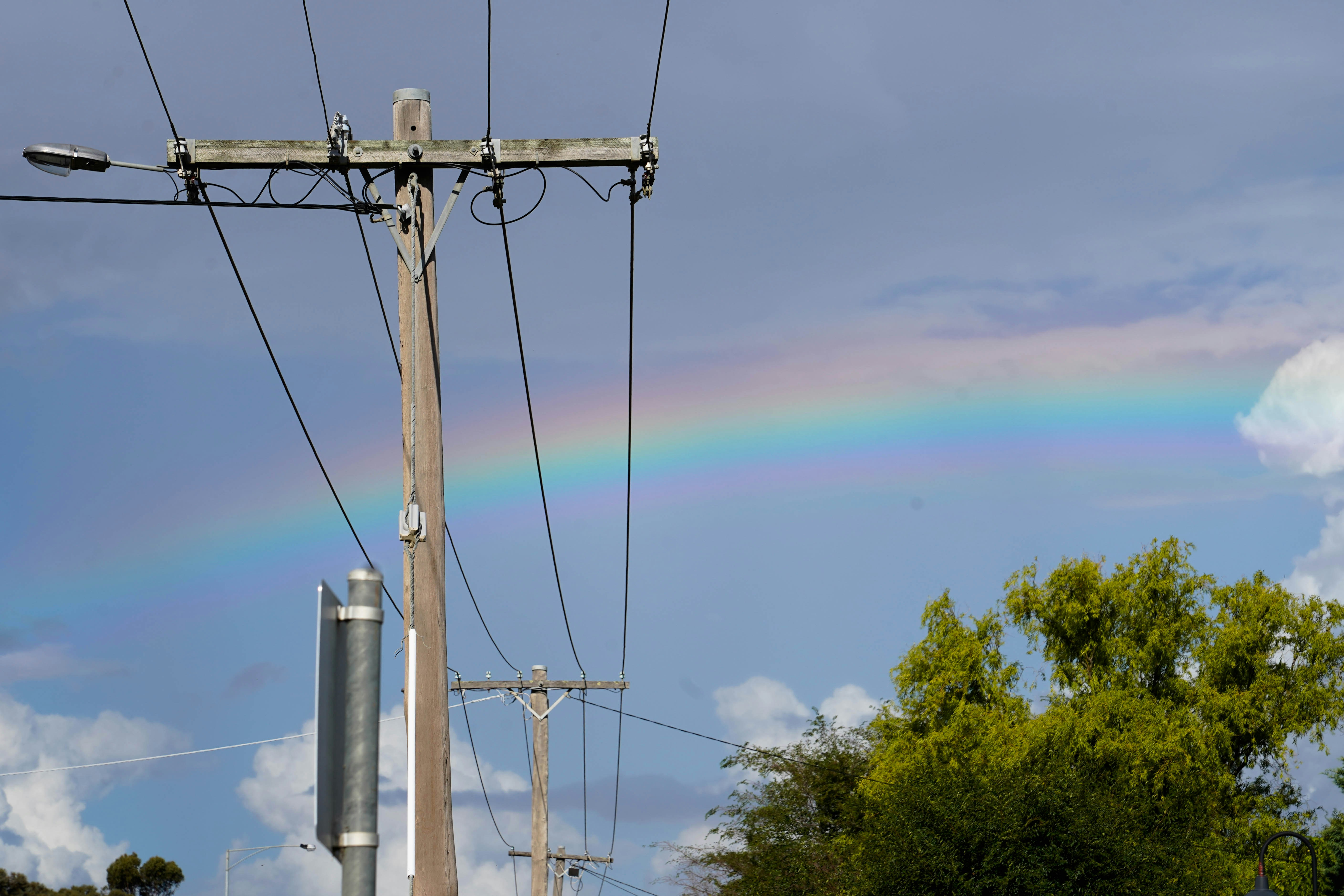 power lines and trees
