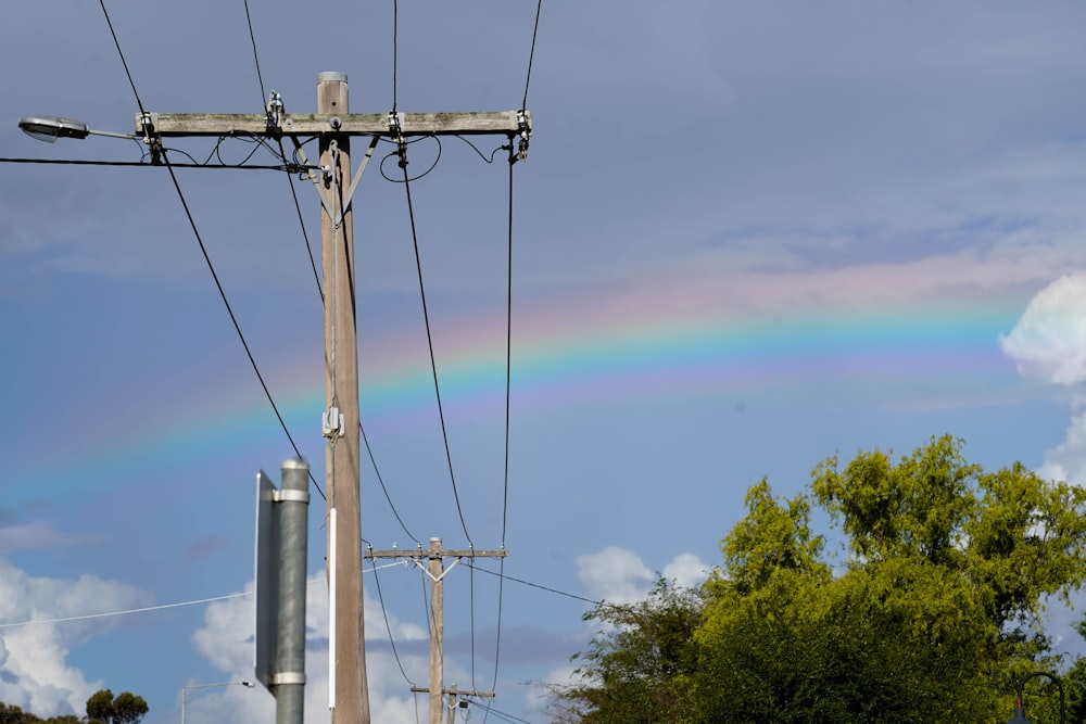 power lines and trees