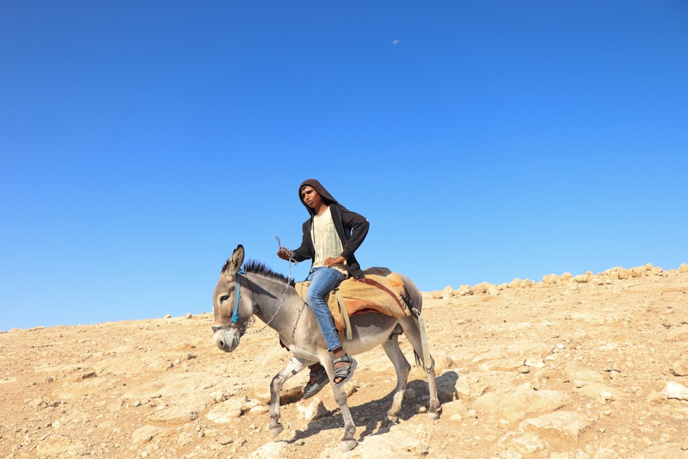 a man riding a camel