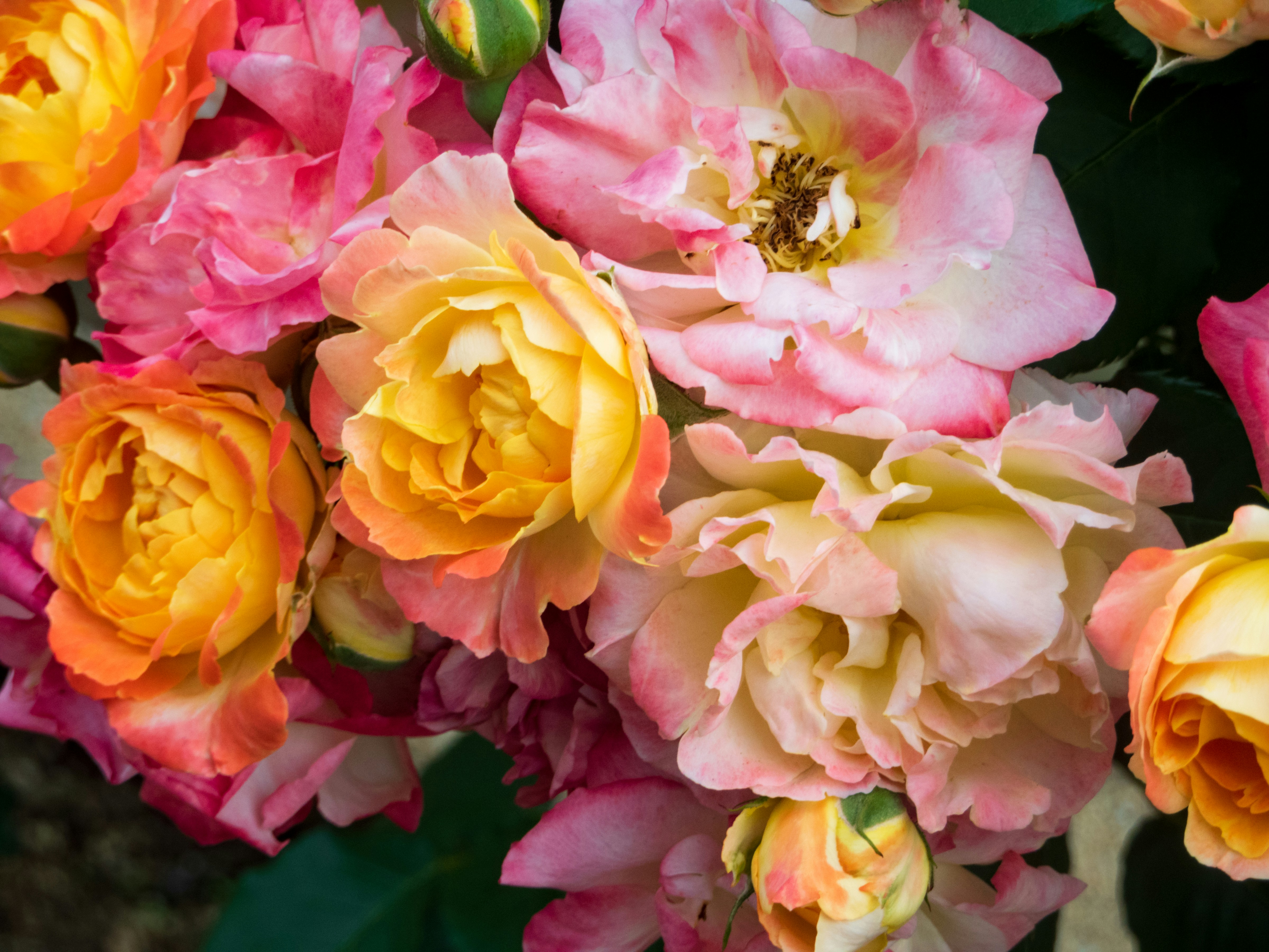 Photo by heppoko_yama