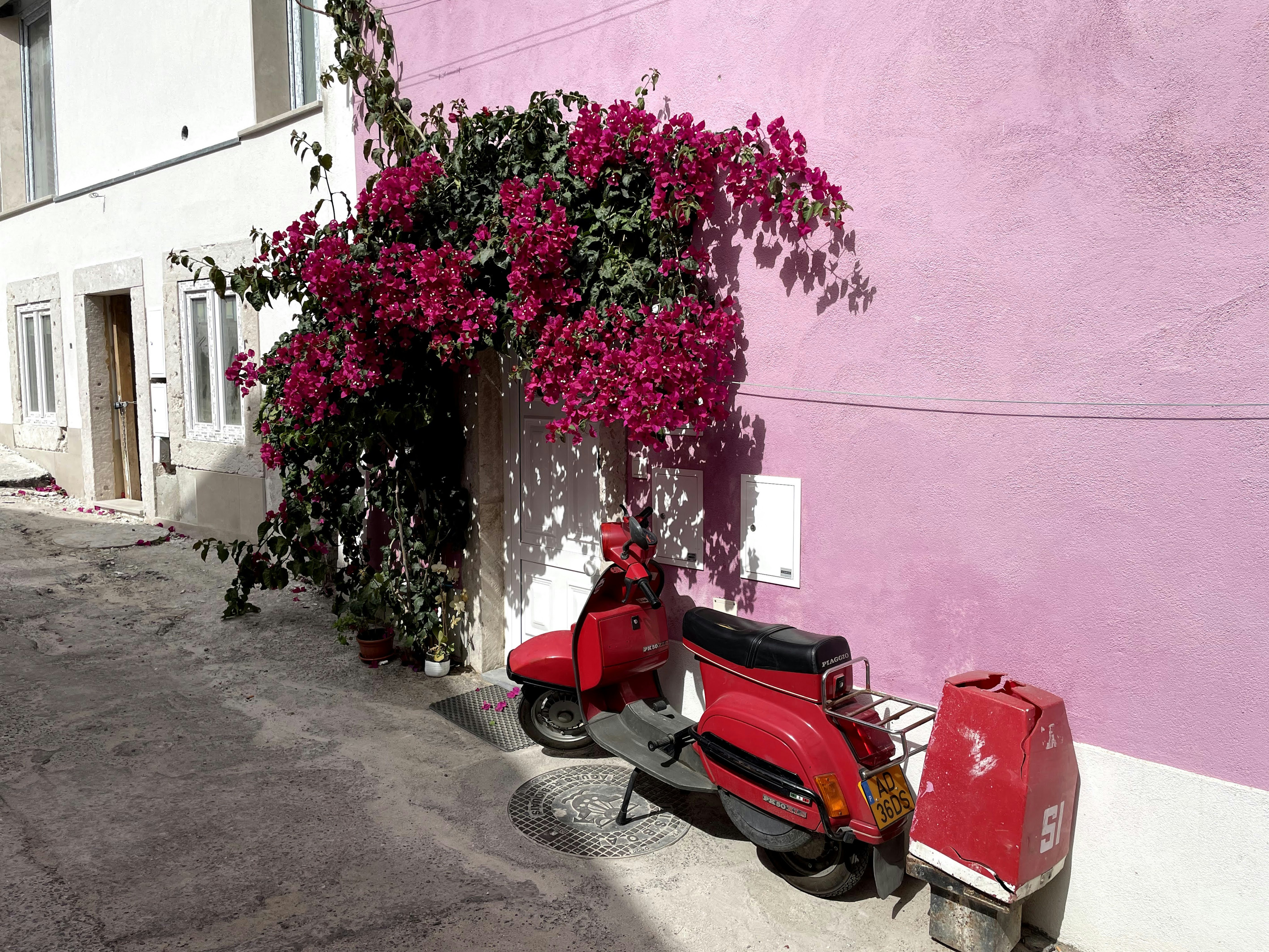 Celiflores