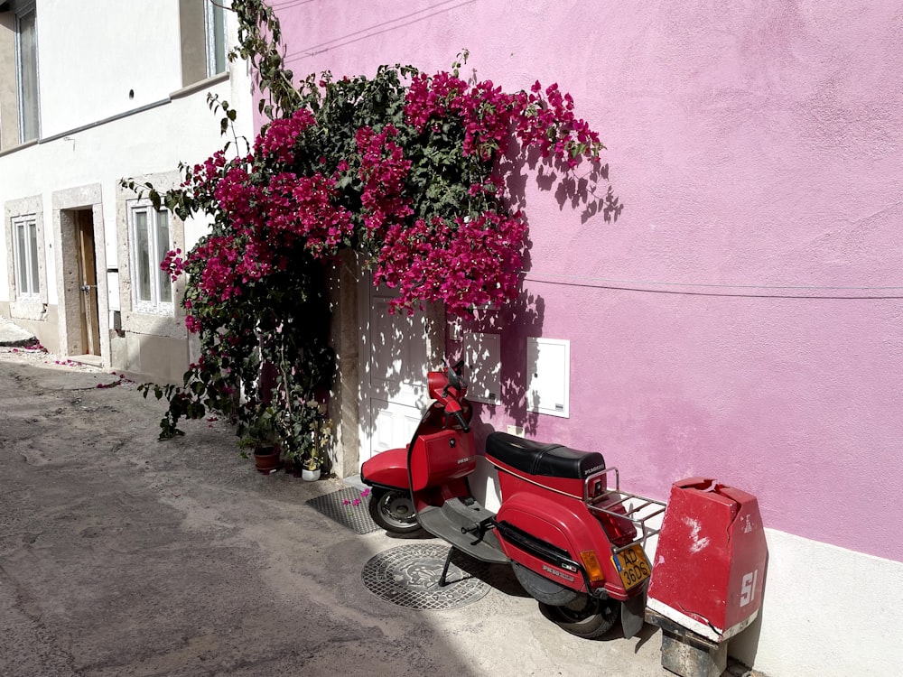 a red moped parked next to a pink wall