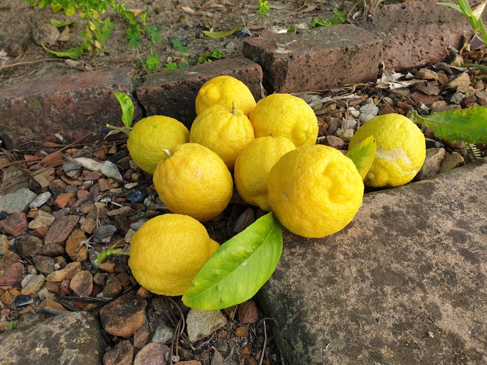 a group of lemons