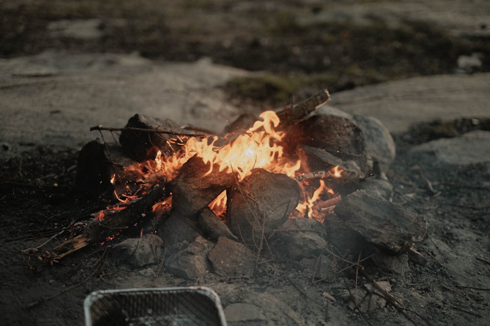 a fire burning on a rock