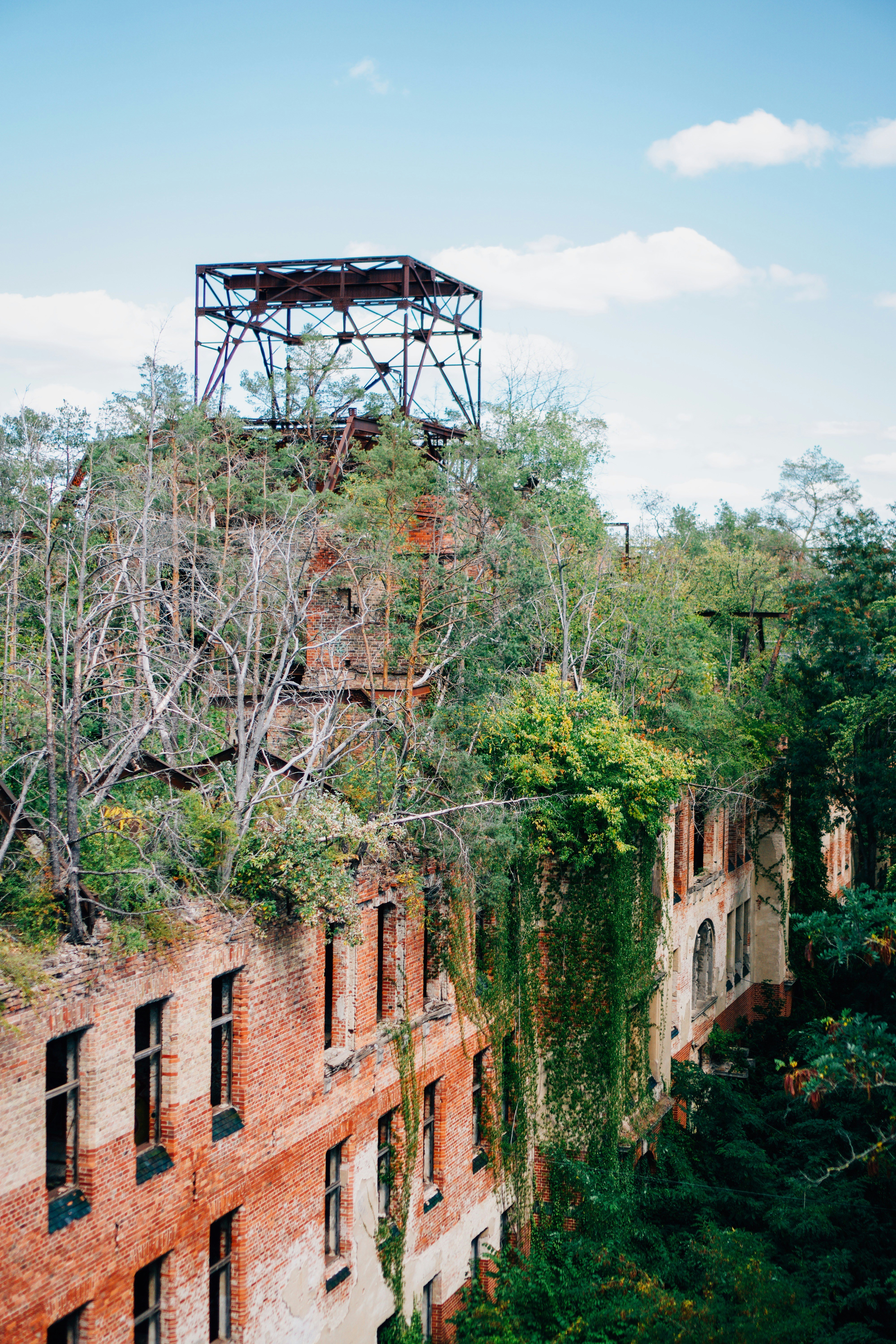 gray computer monitor
