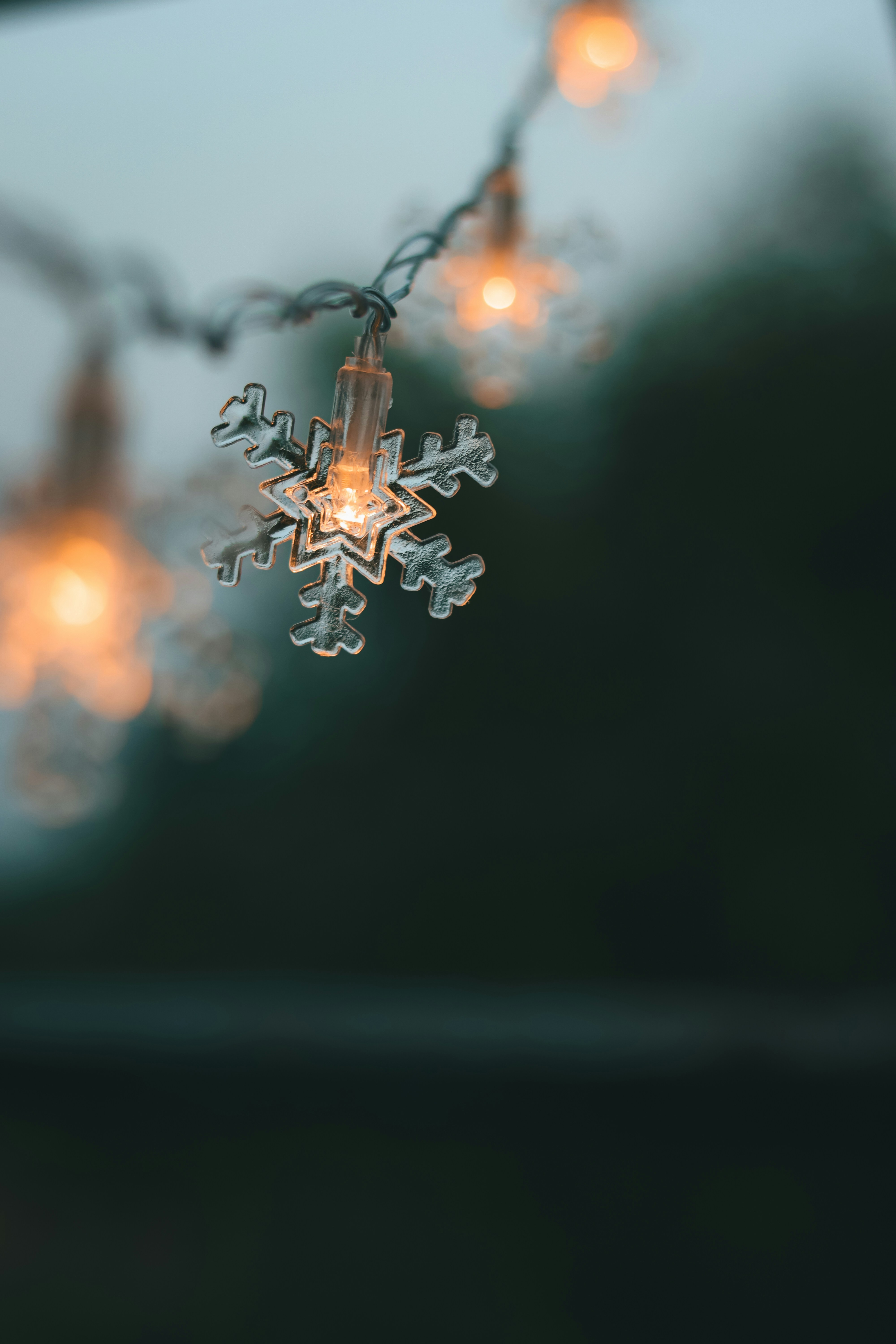 Photo by dhilipantony