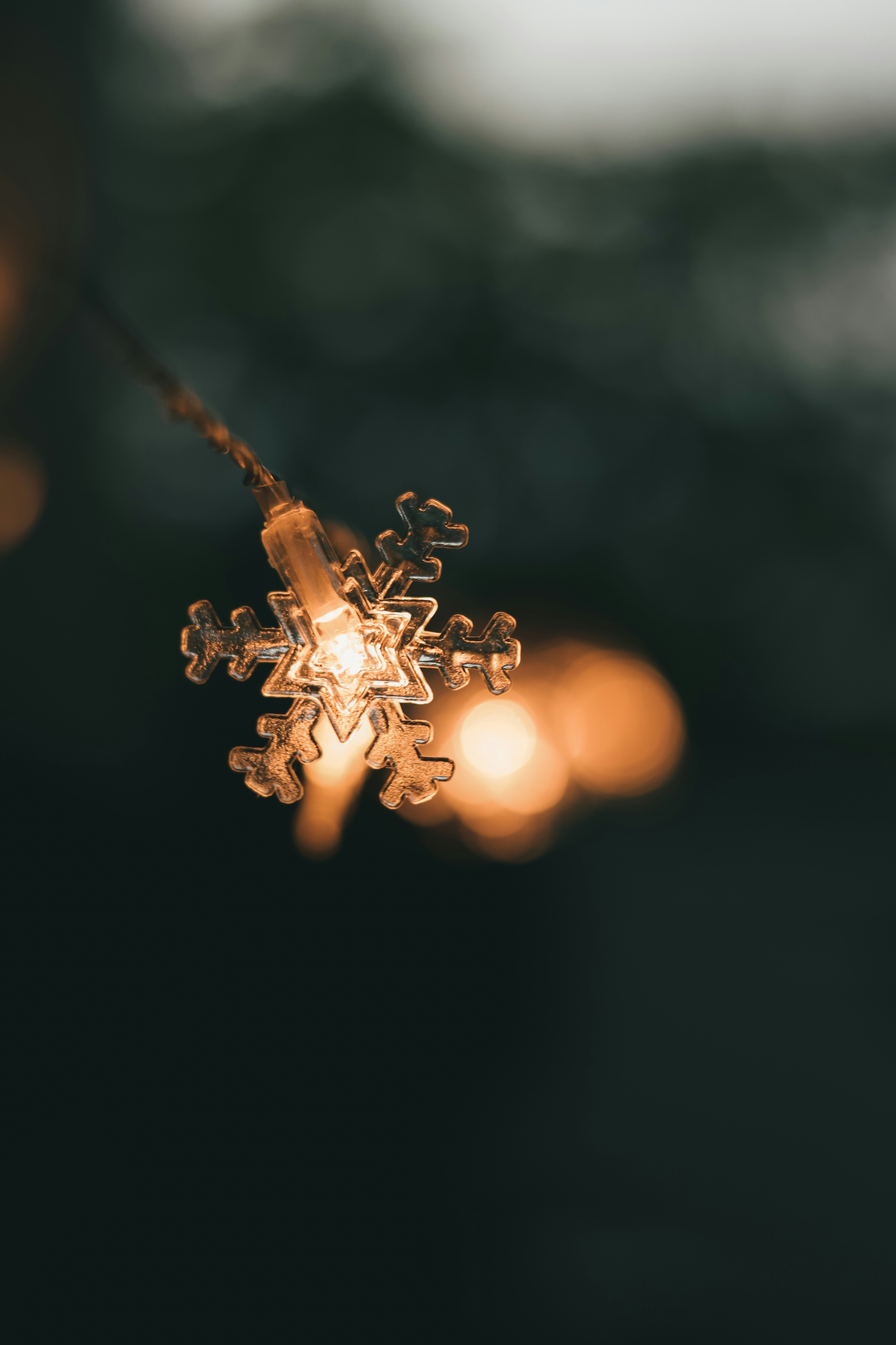 Photo by dhilipantony