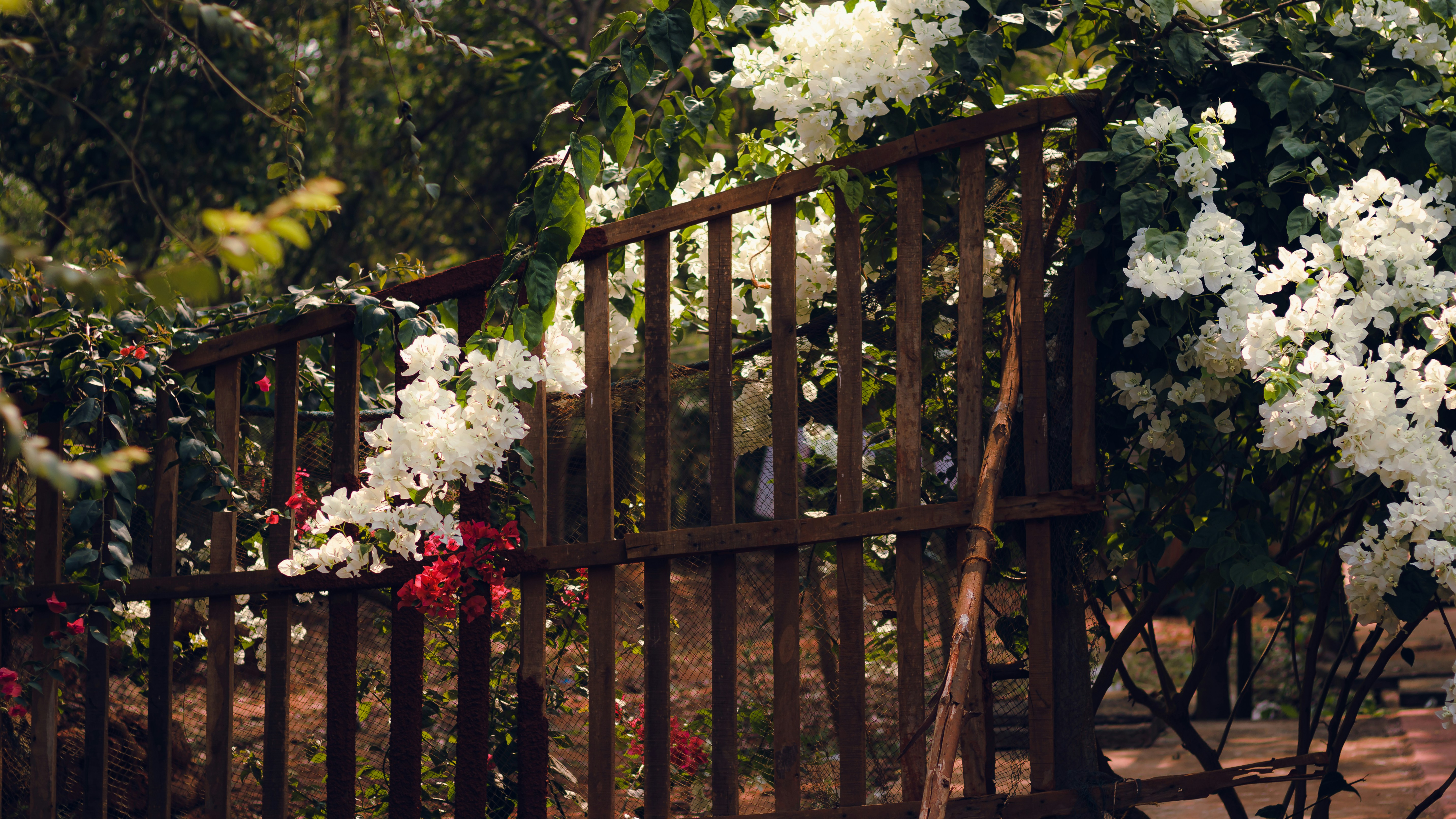 Photo by dhilipantony