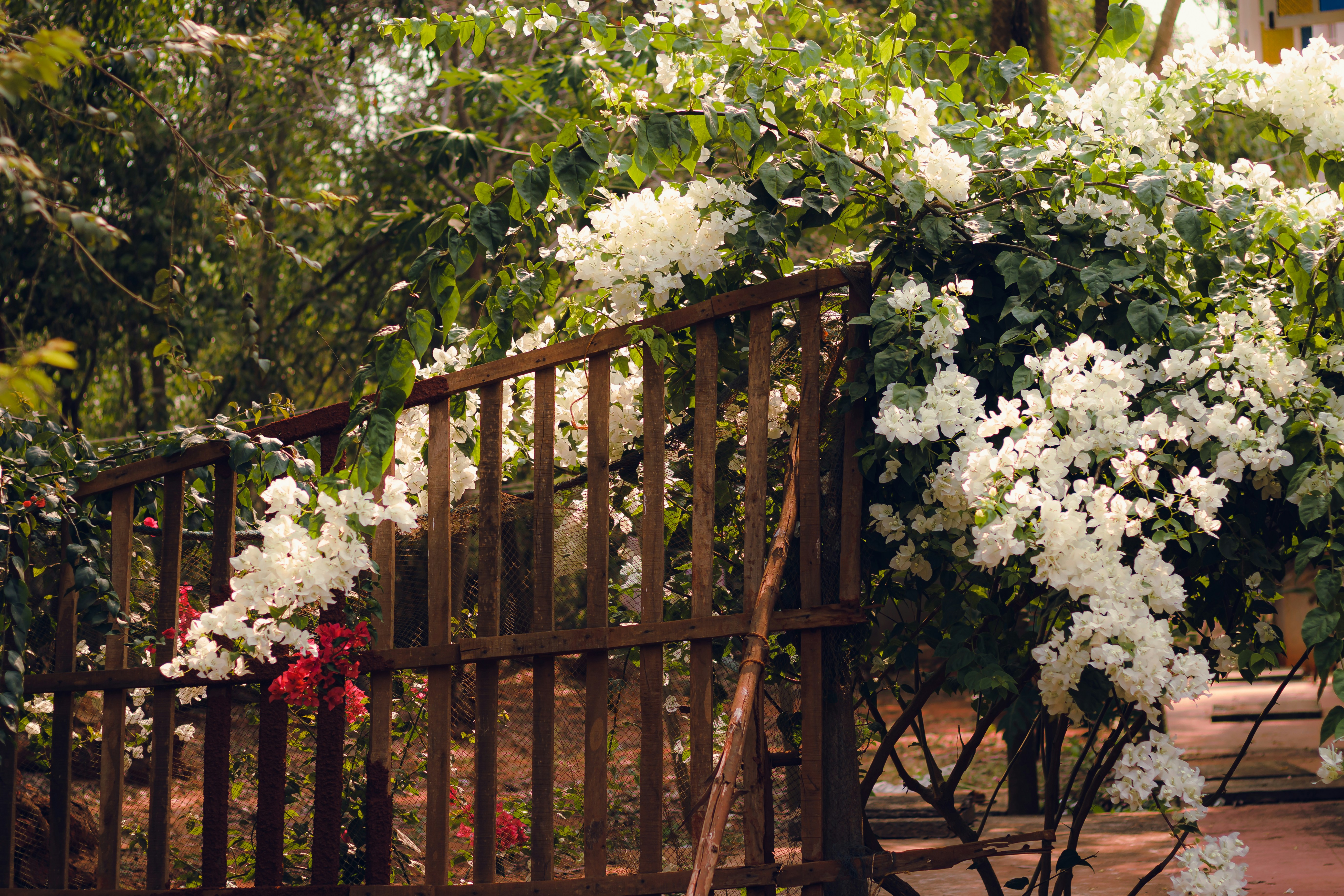 Photo by dhilipantony