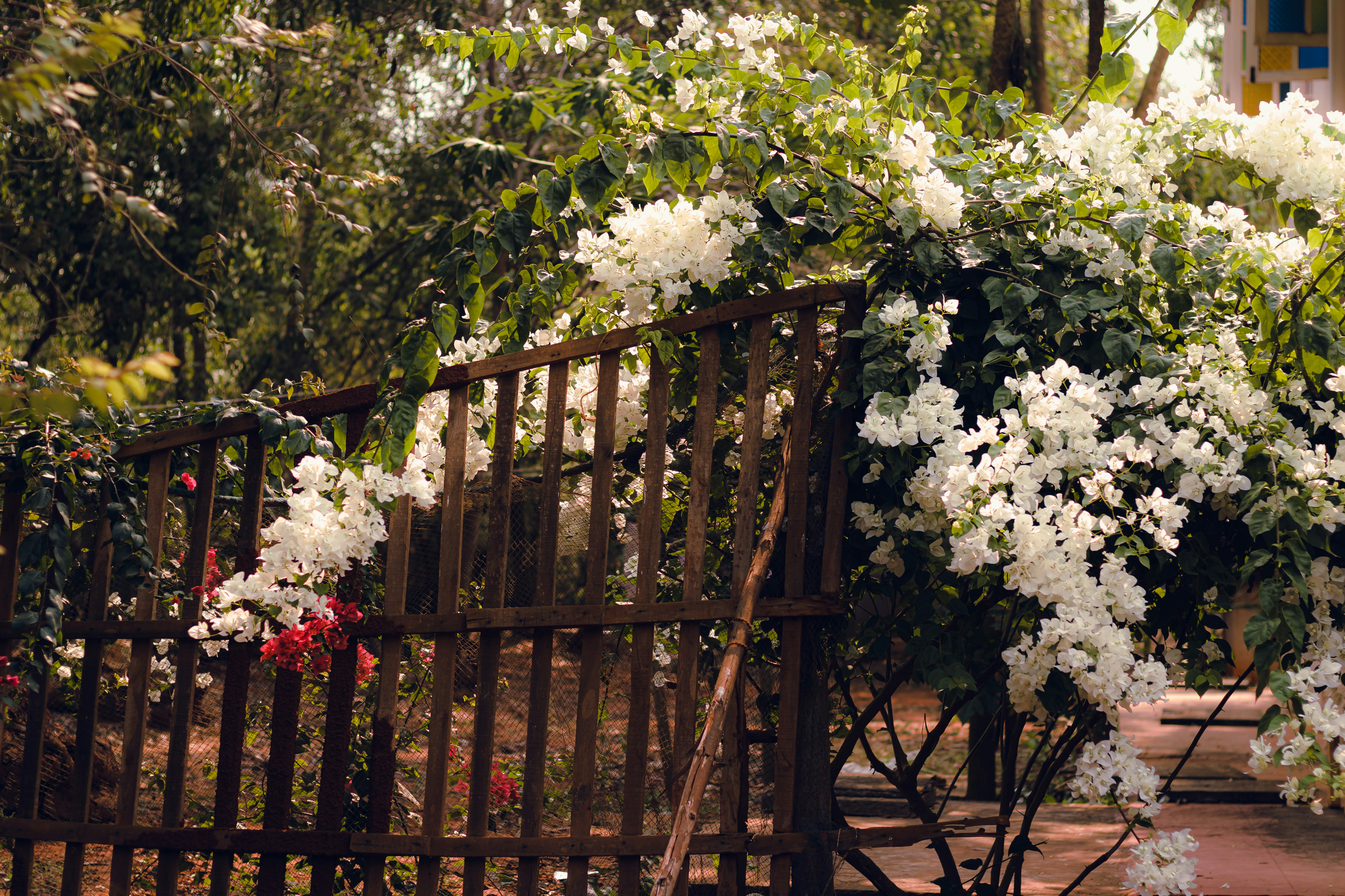 Photo by dhilipantony