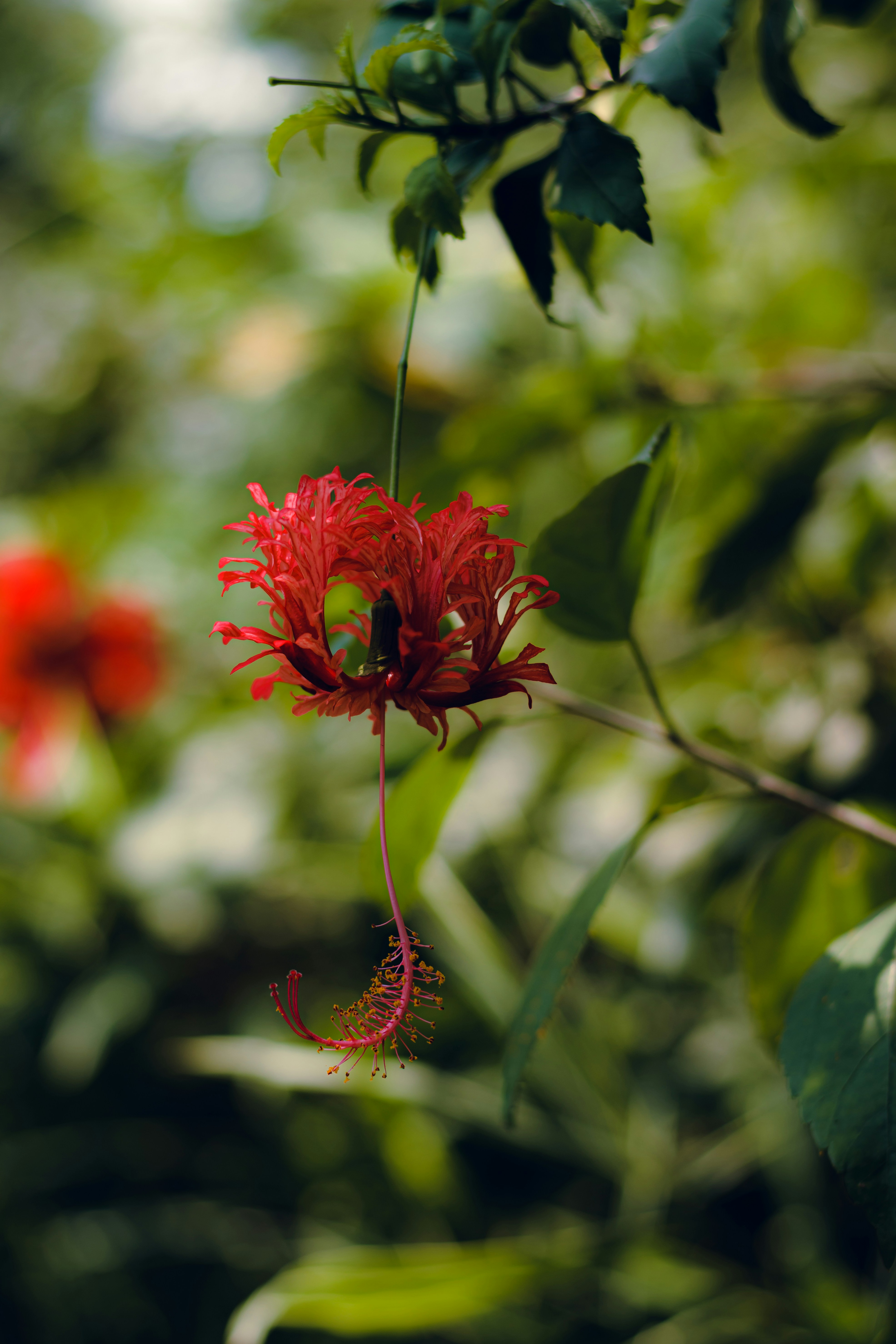 Photo by dhilipantony