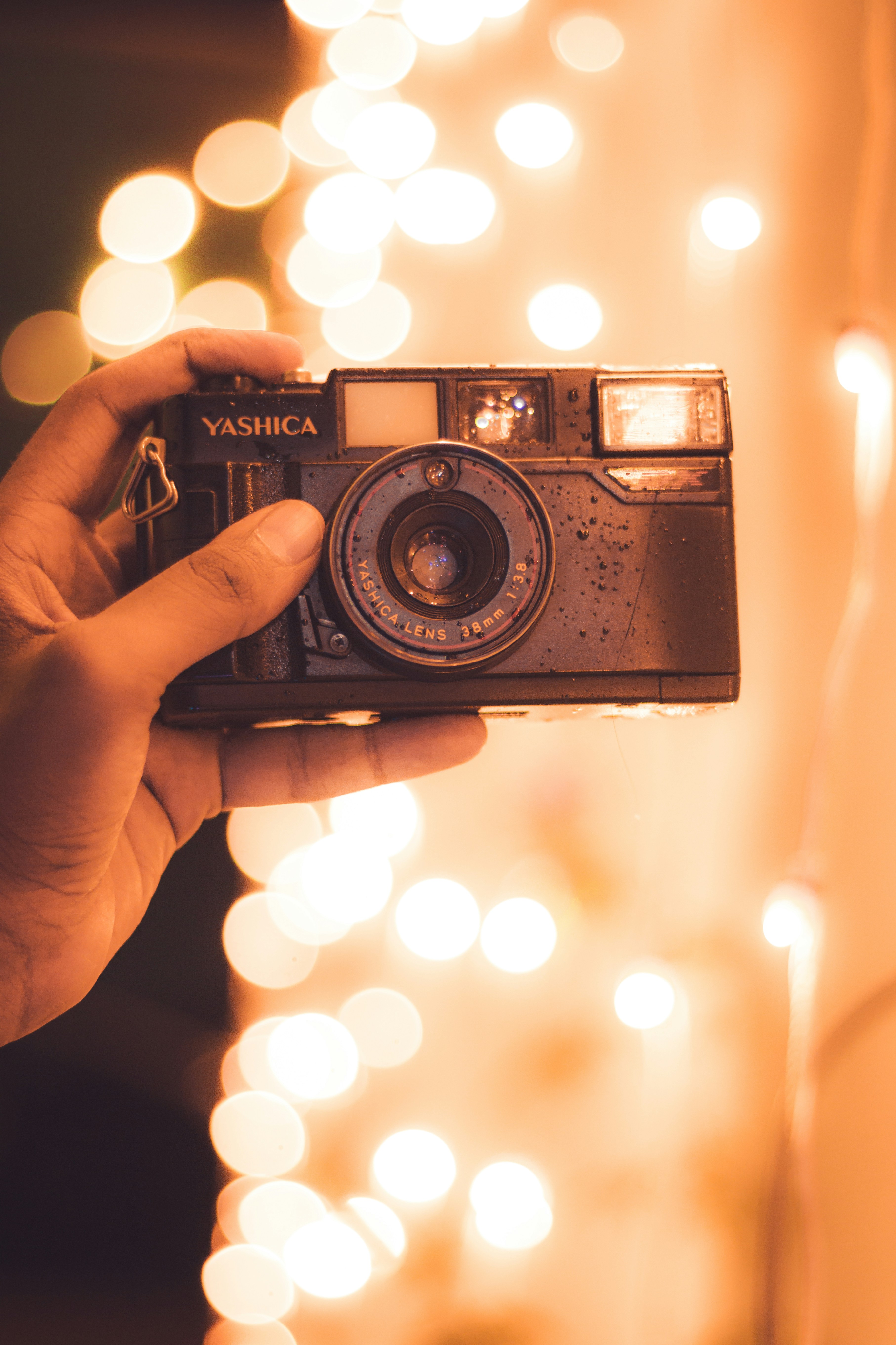 Photo by dhilipantony