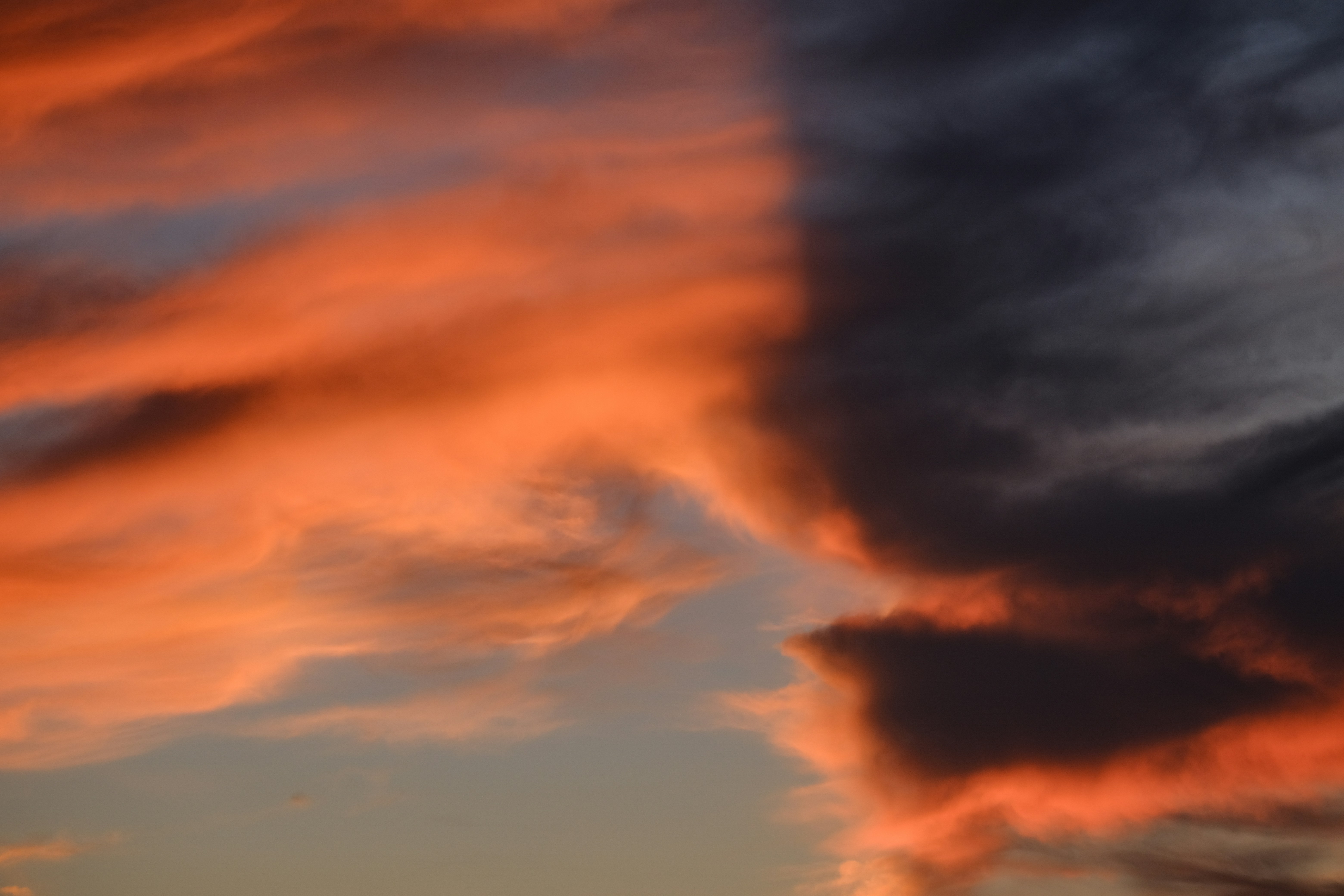 Photo by francesco_ungaro