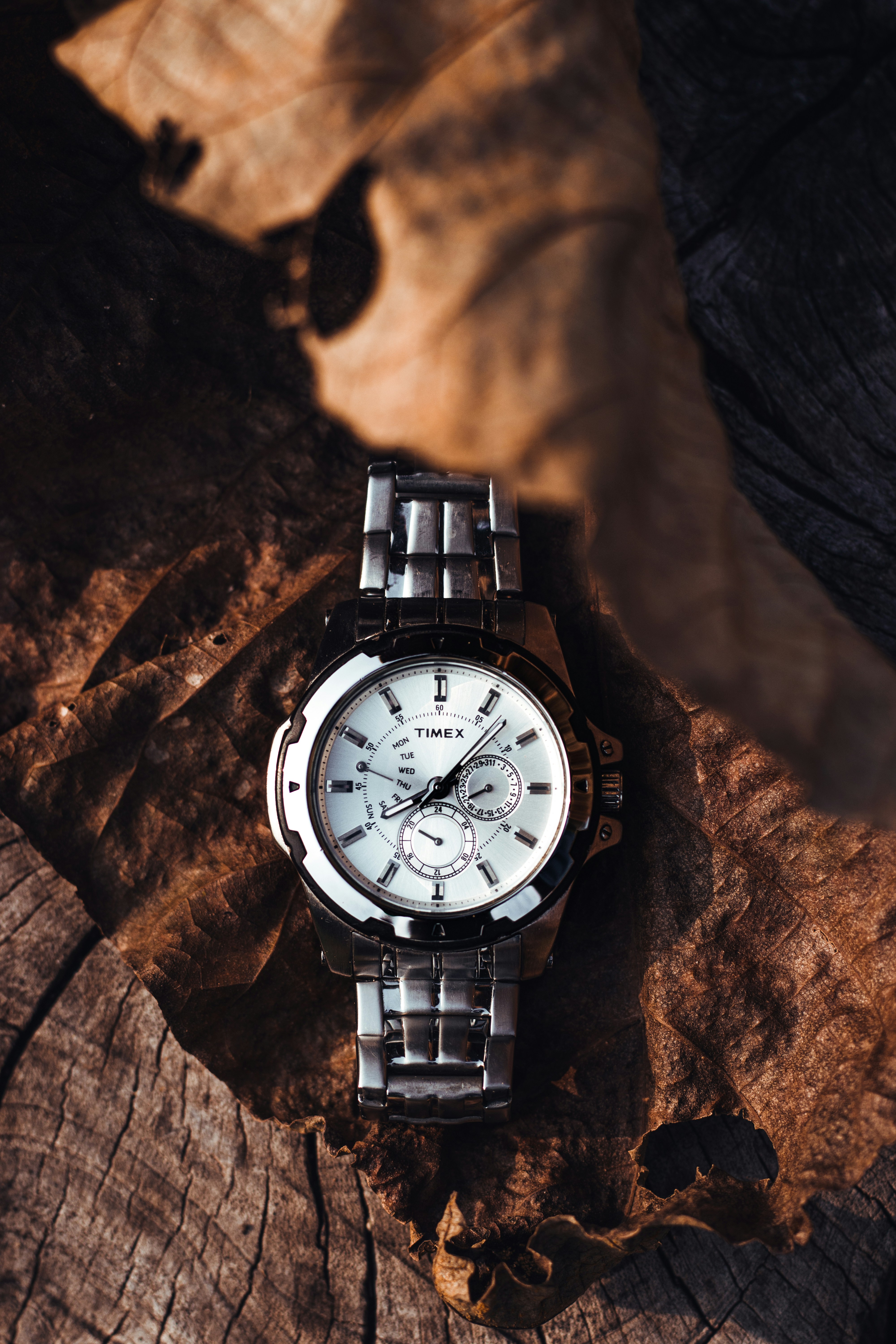 Photo by dhilipantony