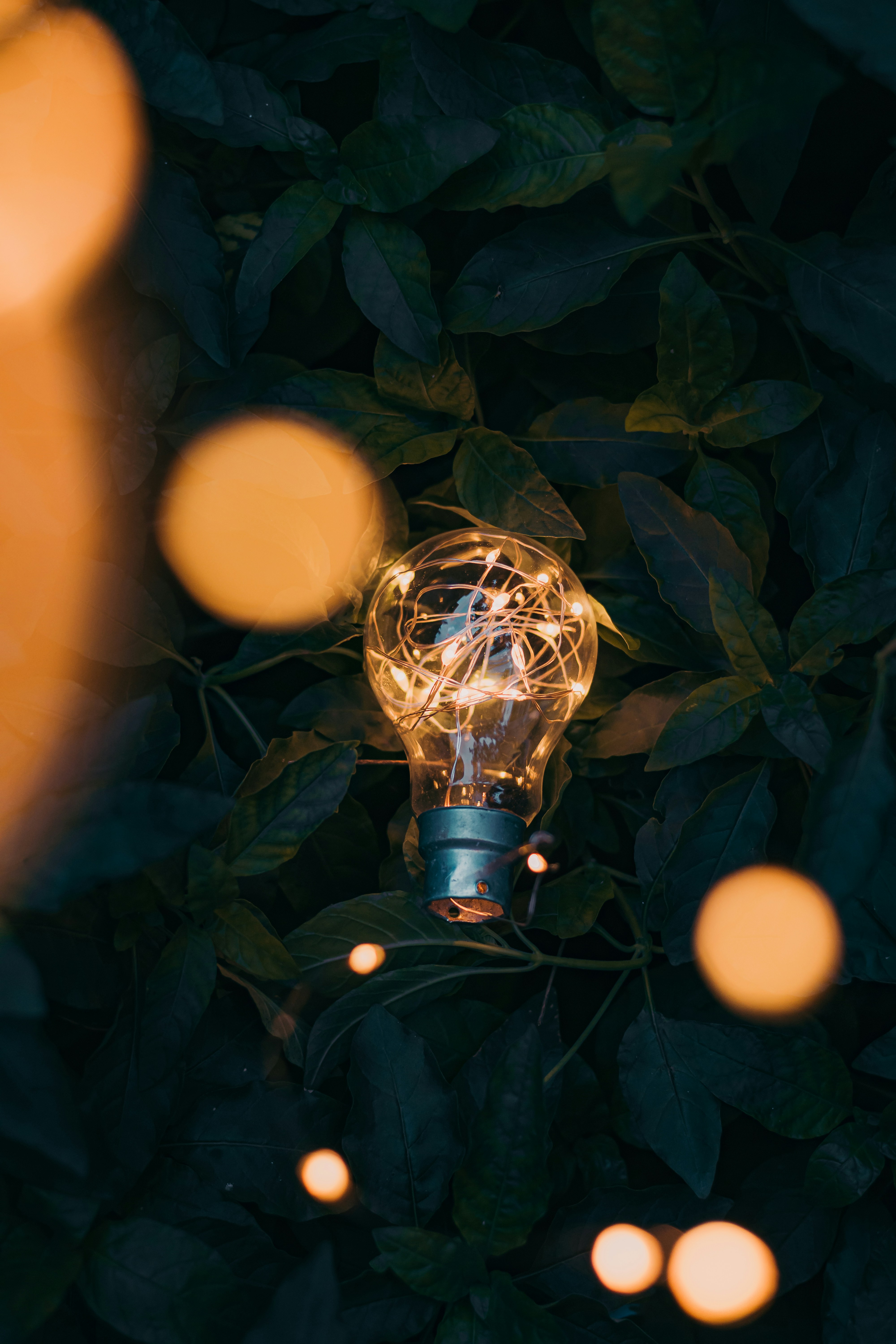 Photo by dhilipantony