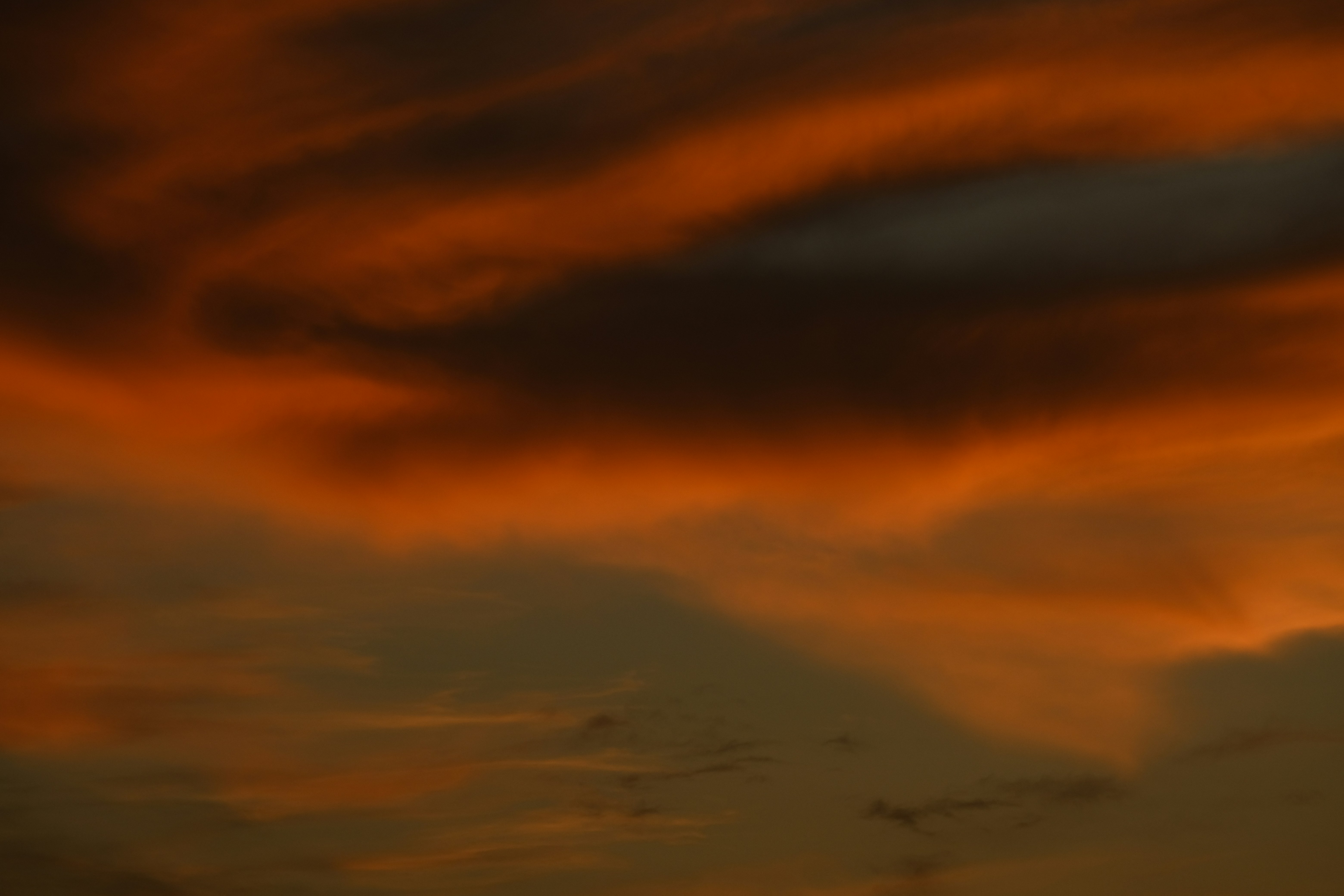 Photo by francesco_ungaro